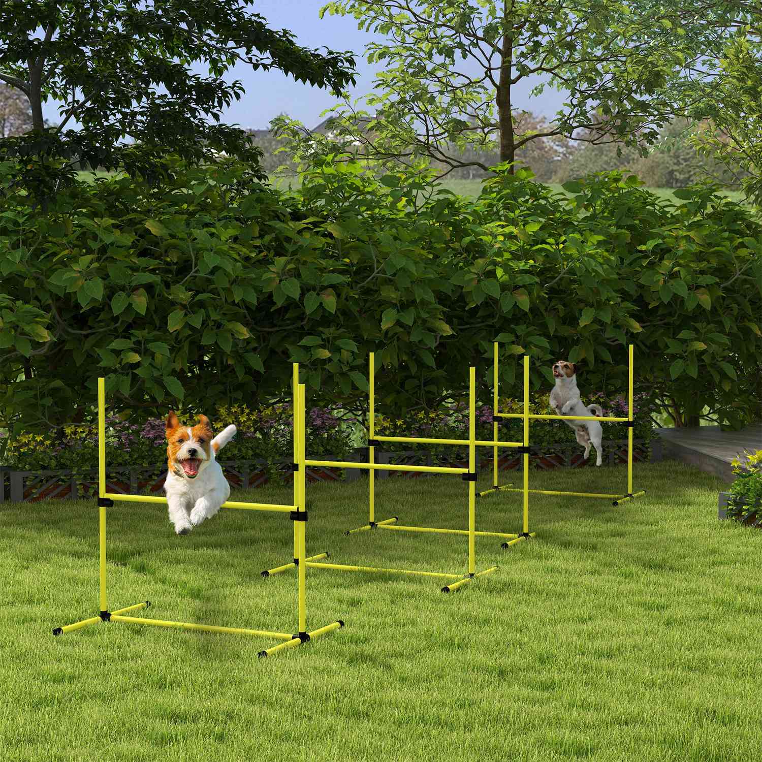 Hundträningsslalomset – 4 gula plasthäckar