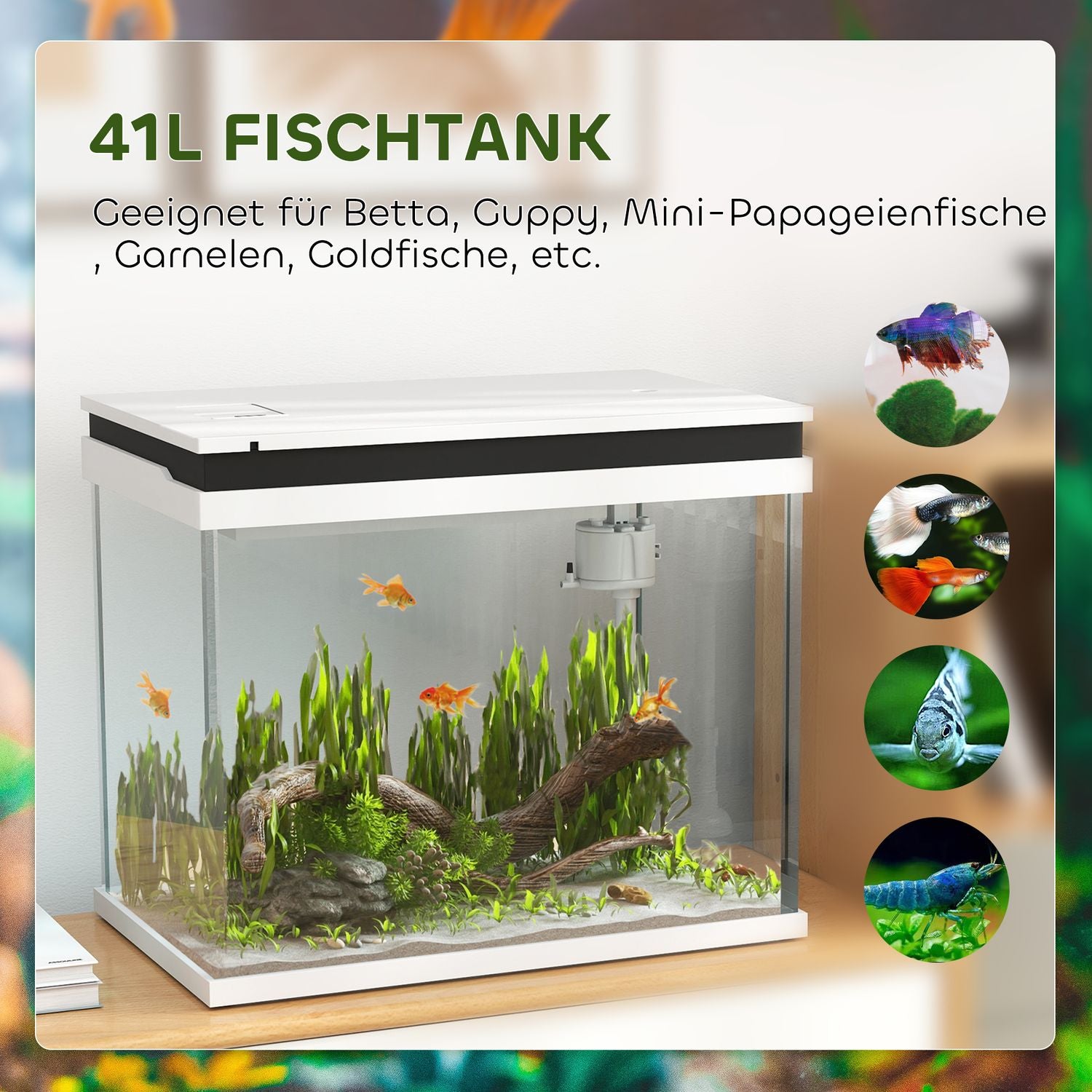 Akvarium, 41L glas med filter, LED & pump - Vit