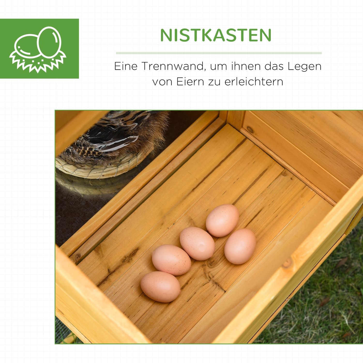 Bantam Chicken Coop, Gran Wood, Fönster & Nesting Box