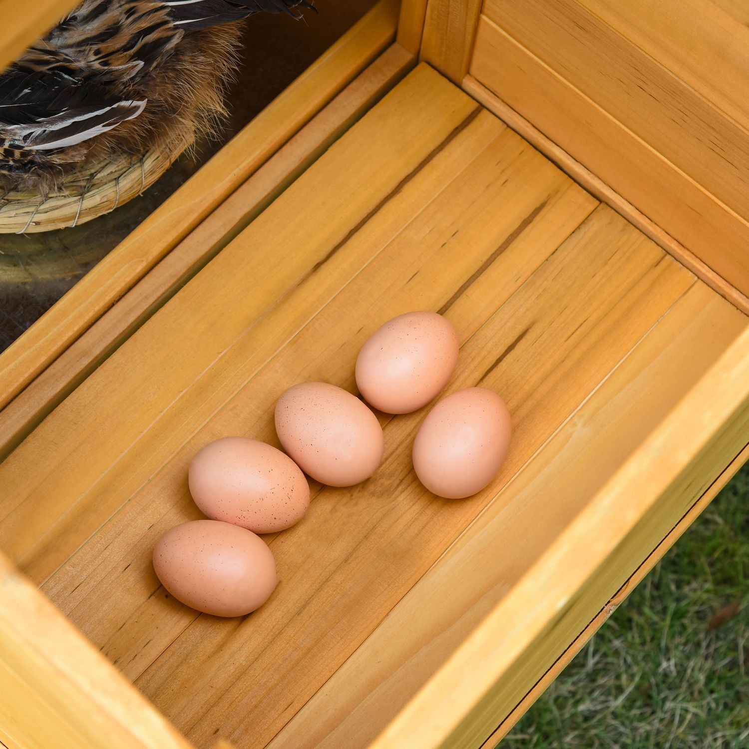 Bantam Chicken Coop, Gran Wood, Fönster & Nesting Box