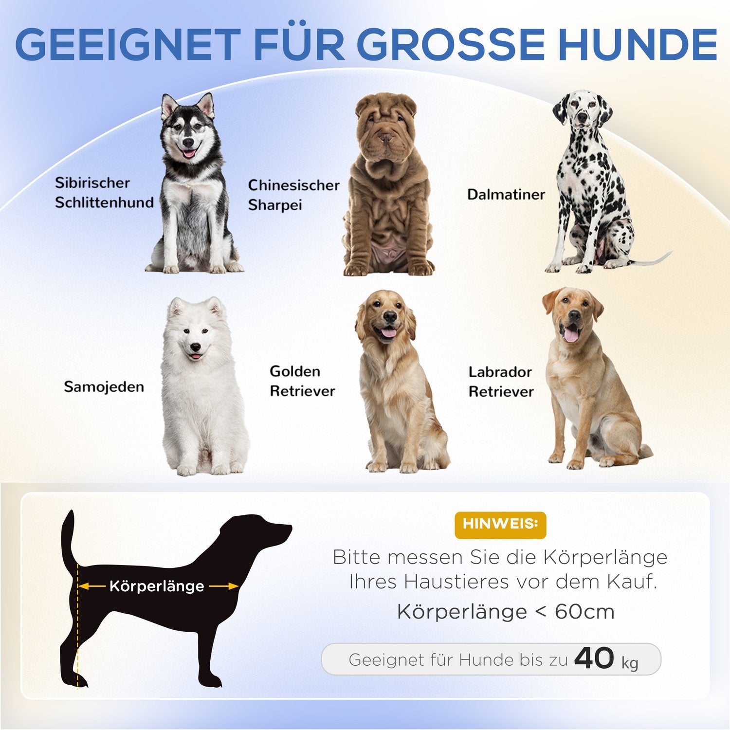 Bekväm husdjurssoffa med kudde, förhöjd grön design