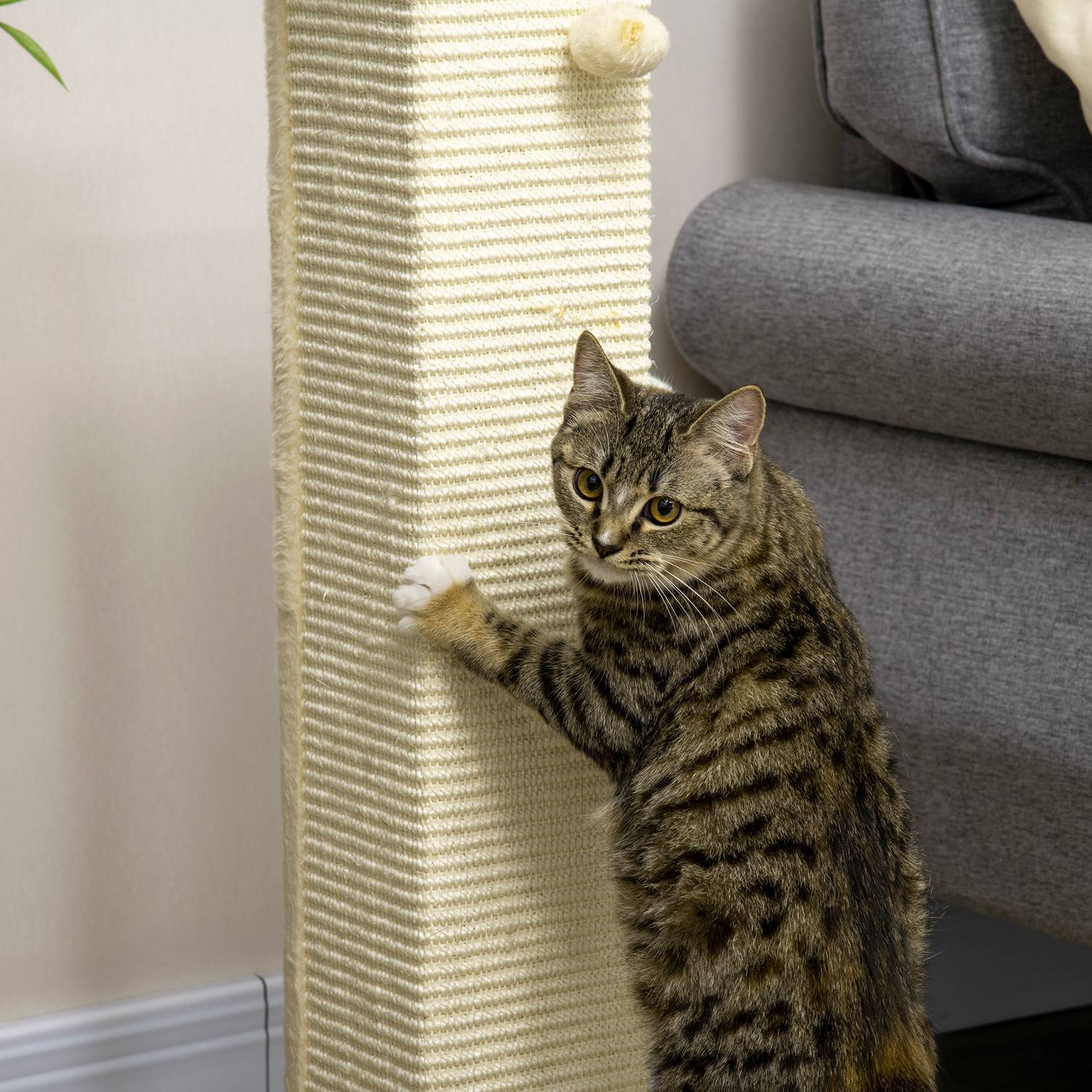 Cat Scratching Post 80cm – Sisal Rep, Play Ball, Ek/Cream