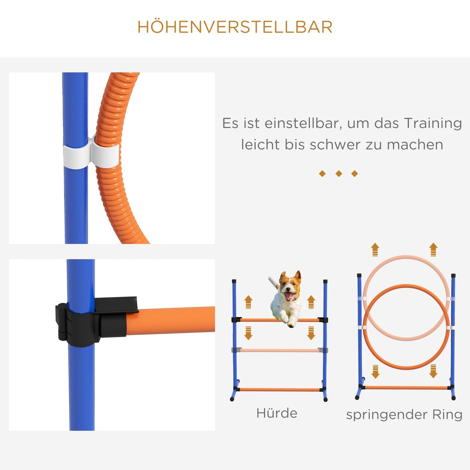 Dog Agility Set – Justerbar häck & hoppring, 4-delad