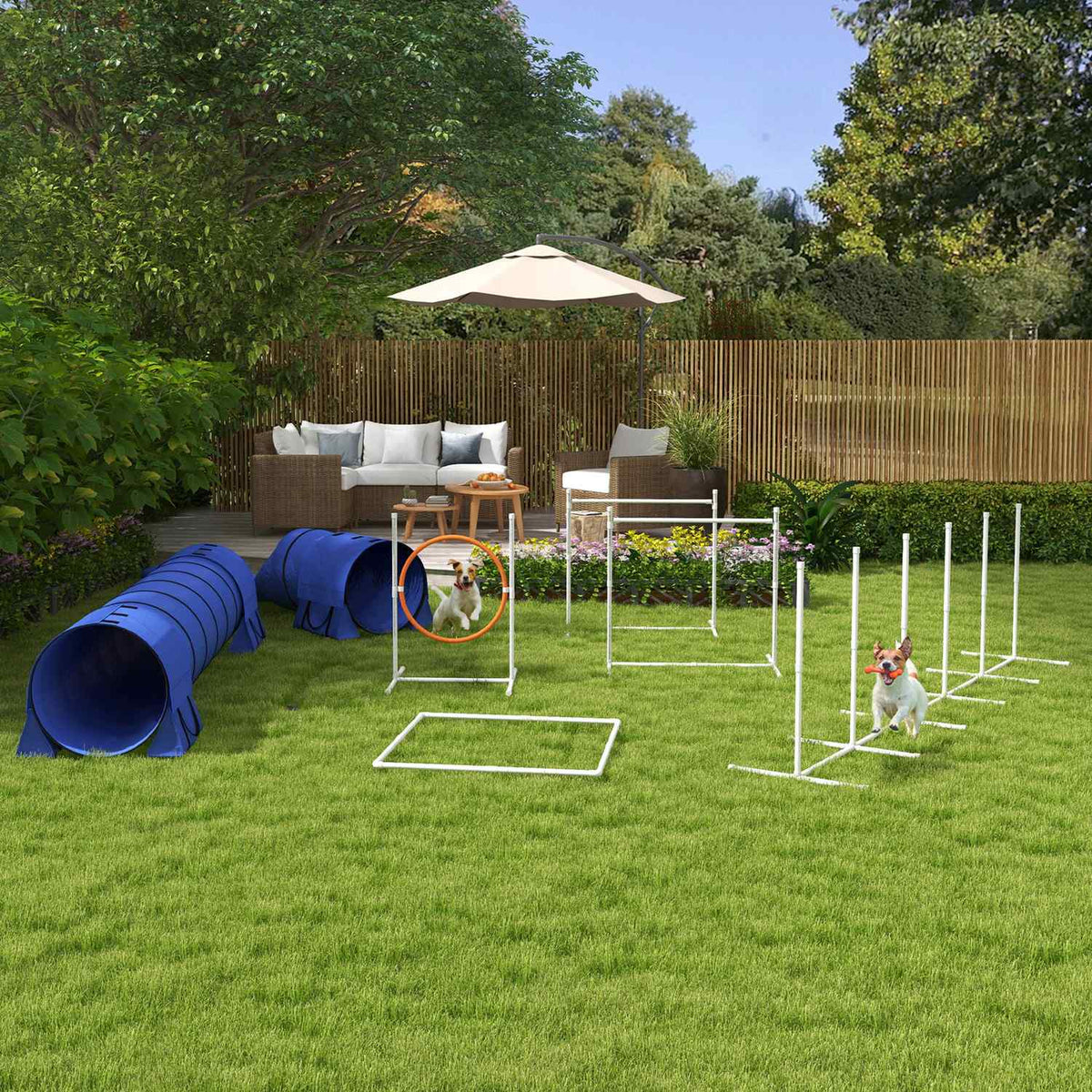 Dog Agility Set med justerbara hinder och tunnel