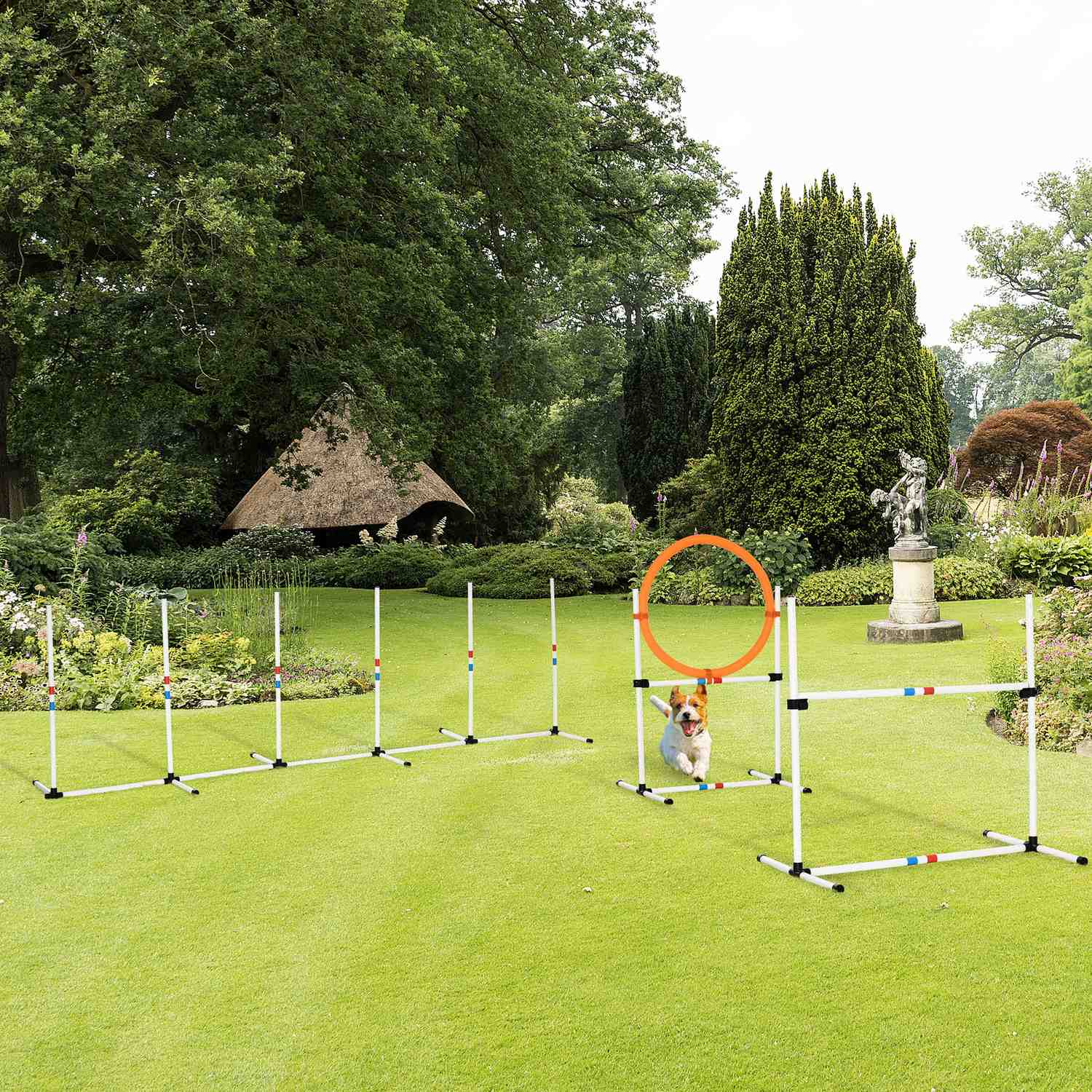 Dog Agility Training Set, 3-delat, lätt att bära