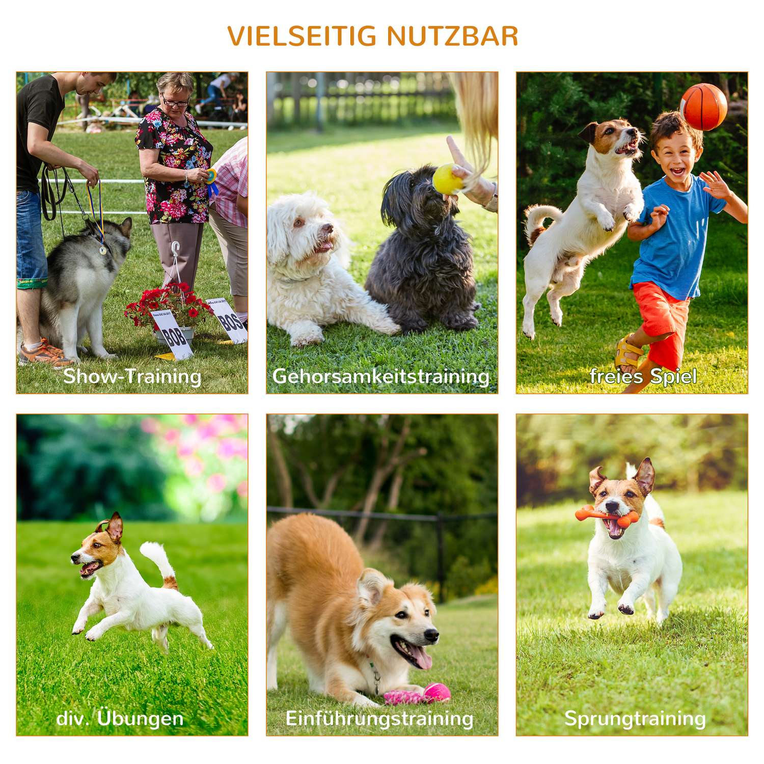 Dog Agility Training Set, 3-delat, lätt att bära