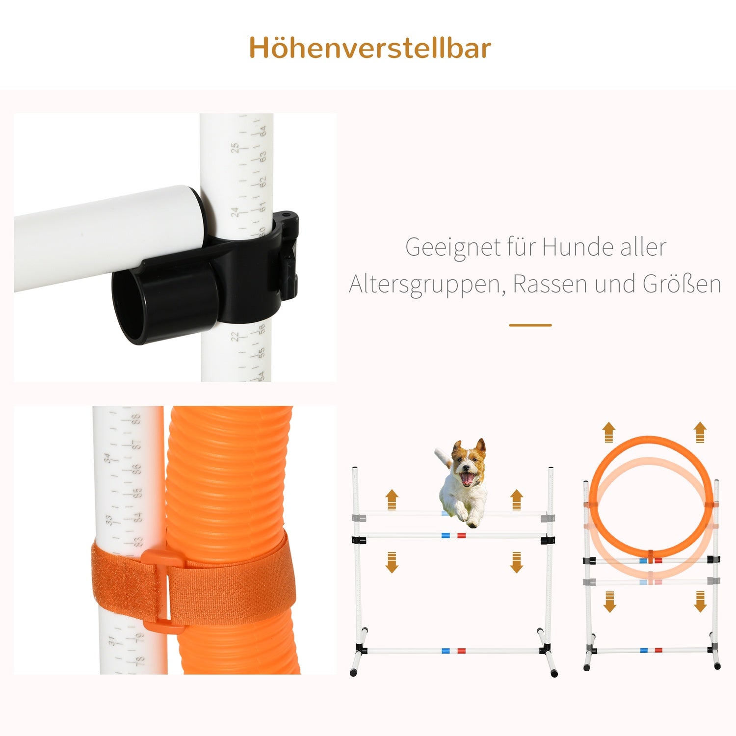 Dog Agility Training Set, 3-delat, lätt att bära