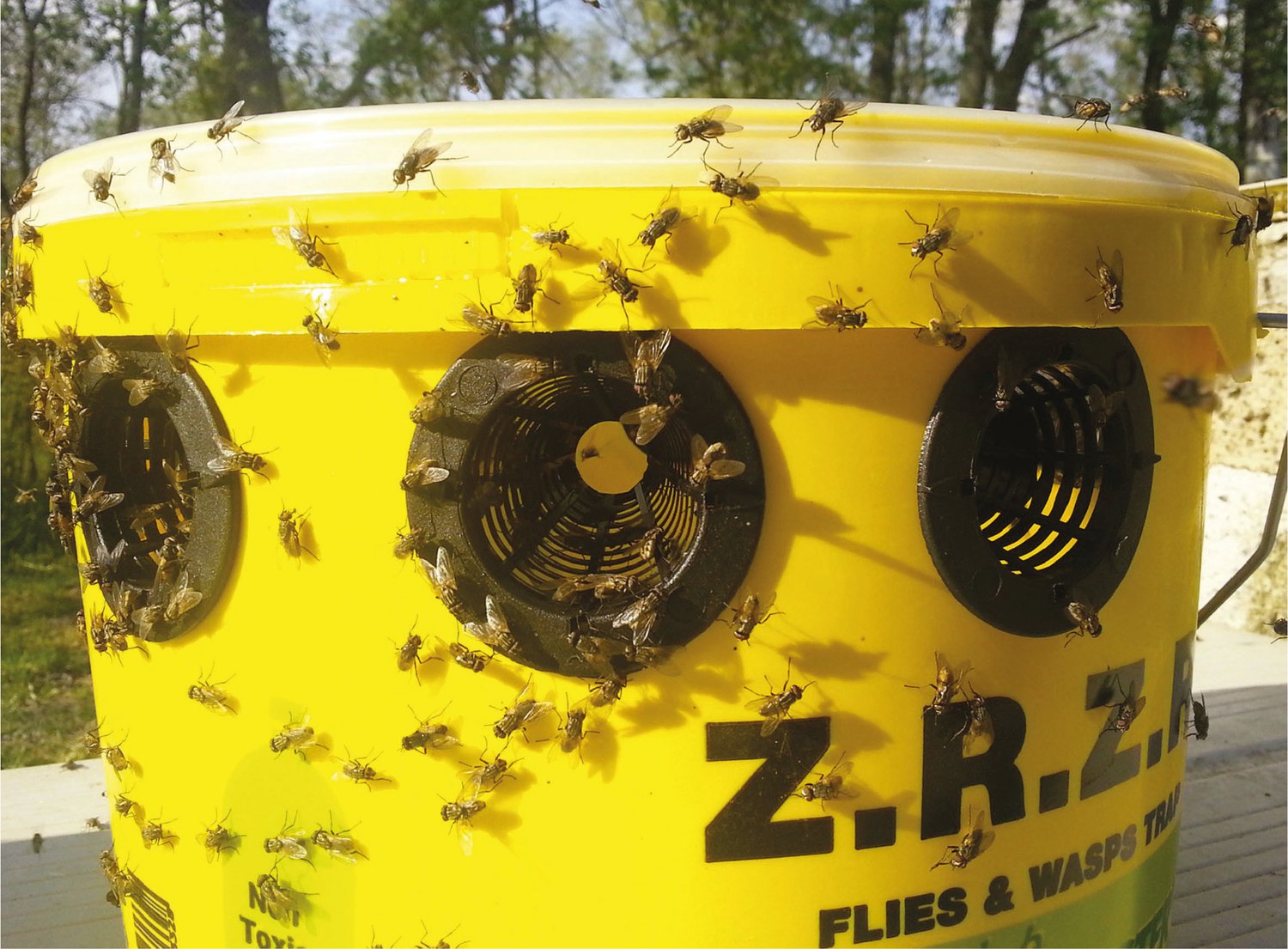 Flybuster Trap 6 l. exkl bete