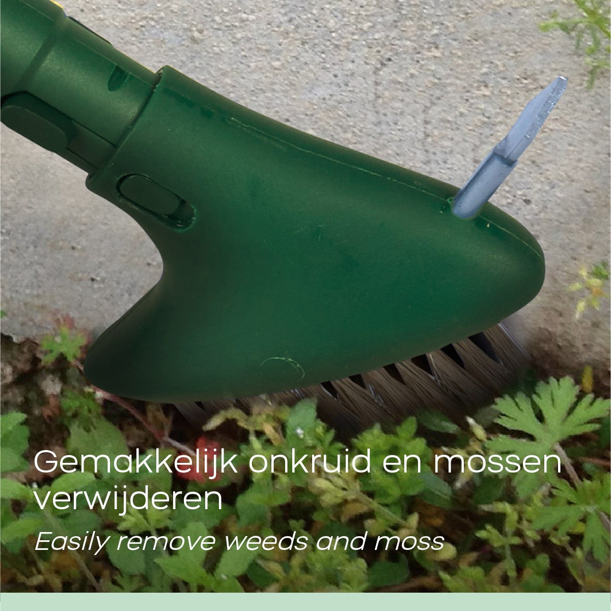 GardiREX - Ogräsborste