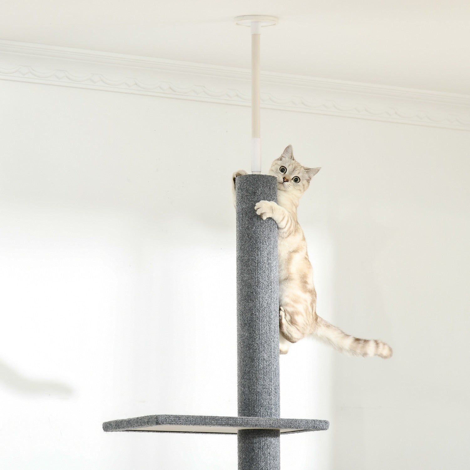 Höjdjusterbar kattskrapstolpe, klätterträd, grå