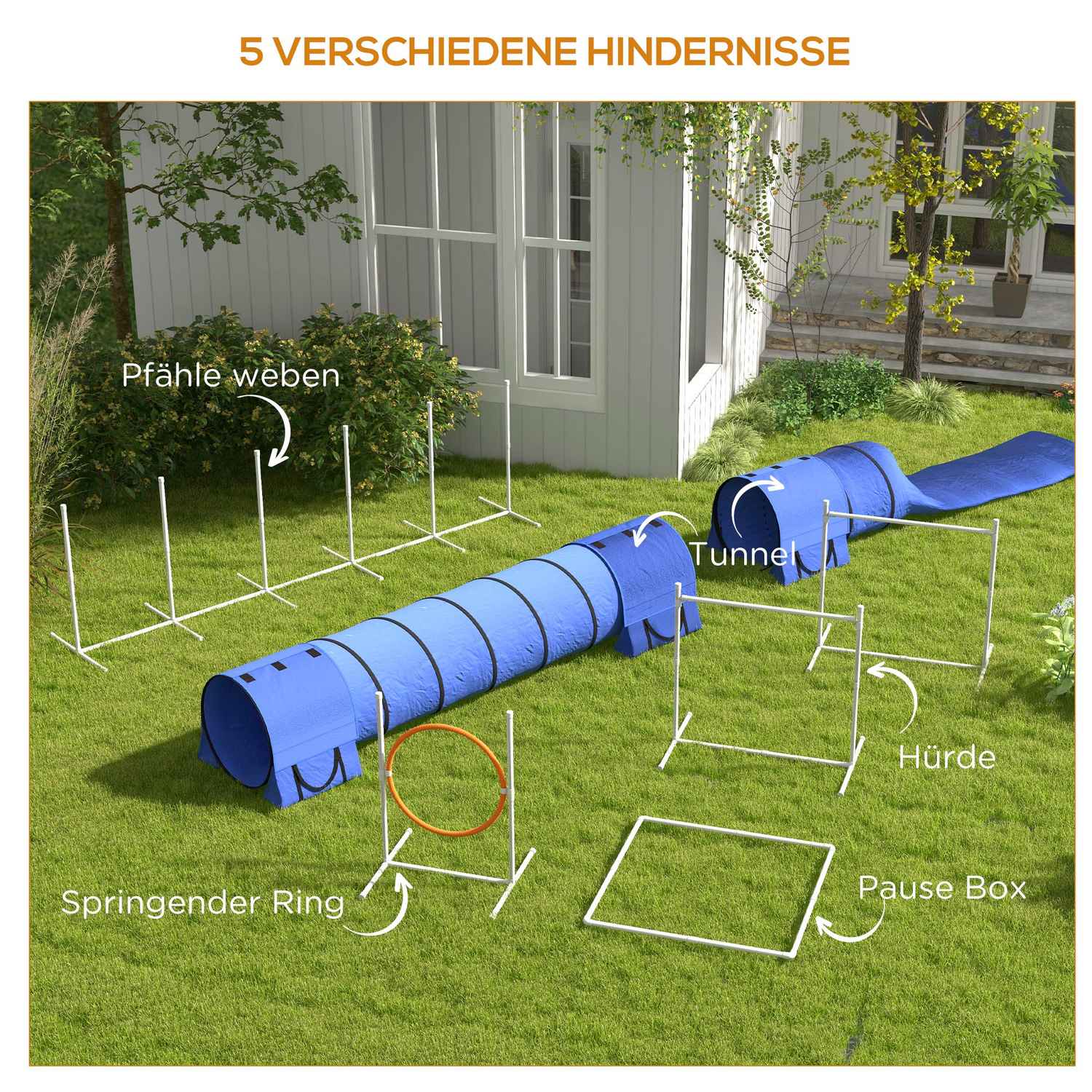 Dog Agility Set med justerbara hinder och tunnel