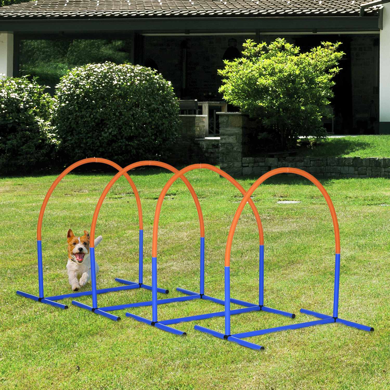 Dog Agility Training Set, 4-delat med bärväska, blå/orange