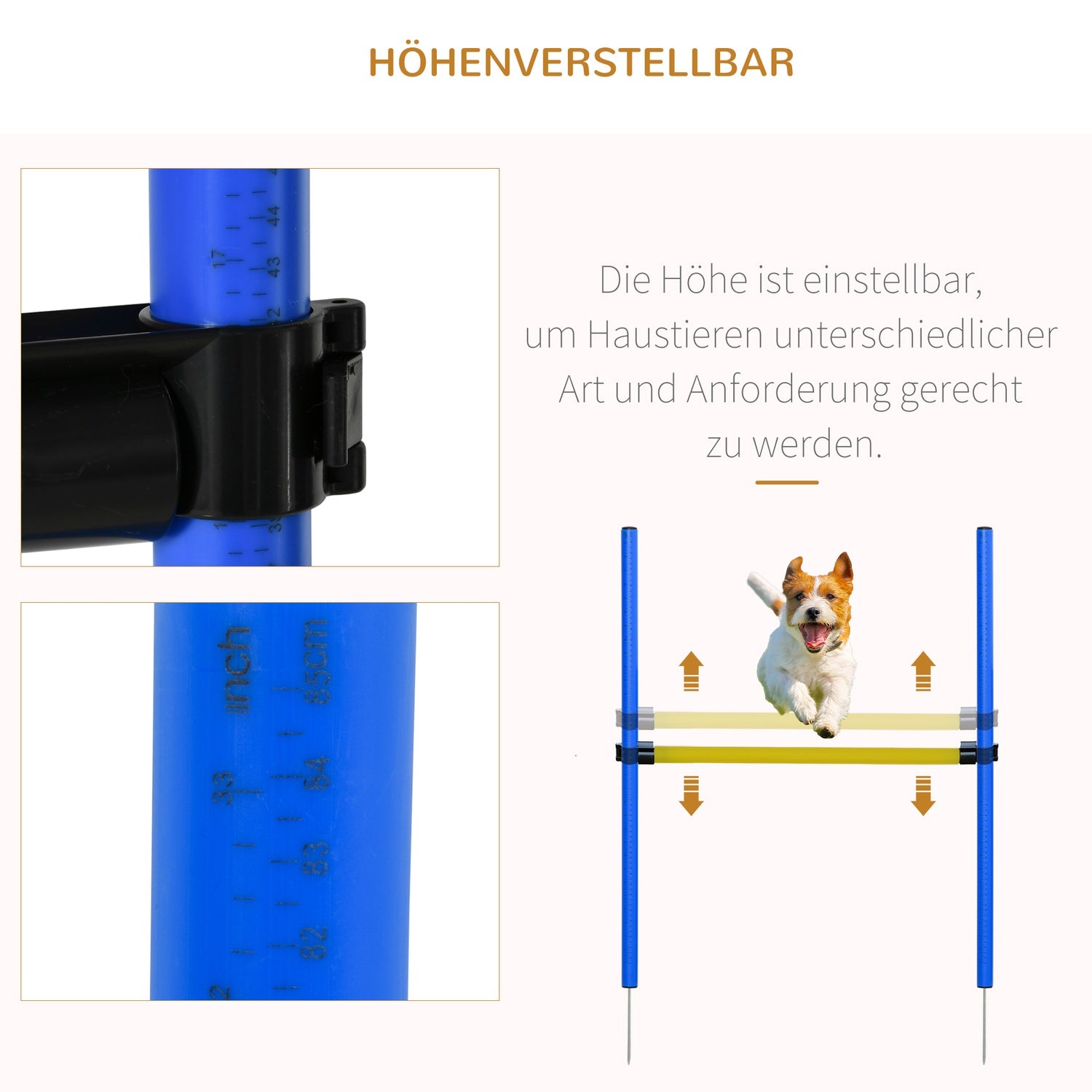 Hund Agility Training Set med tunnel, stavar och hinder