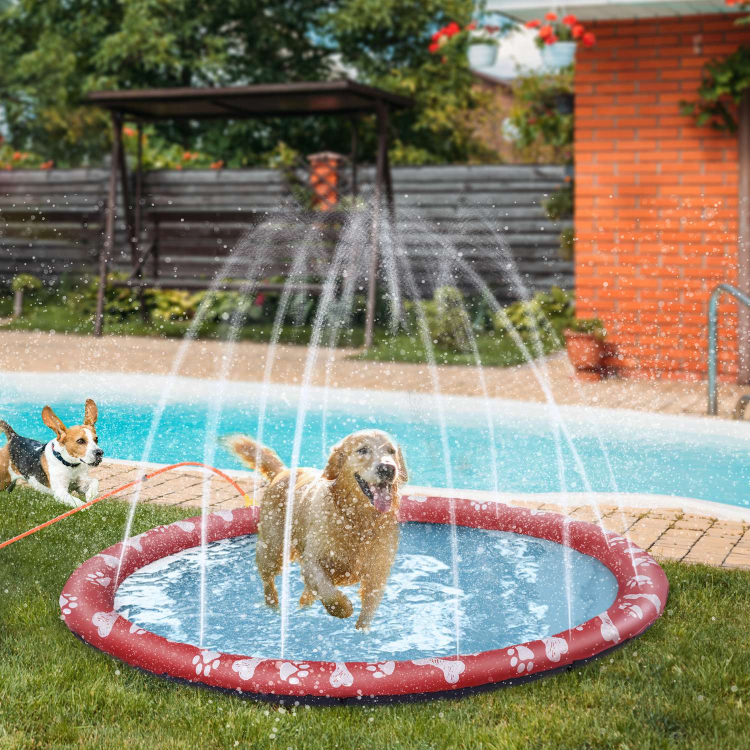 Hundpool, 170 cm vattenmatta, halkfri för trädgård