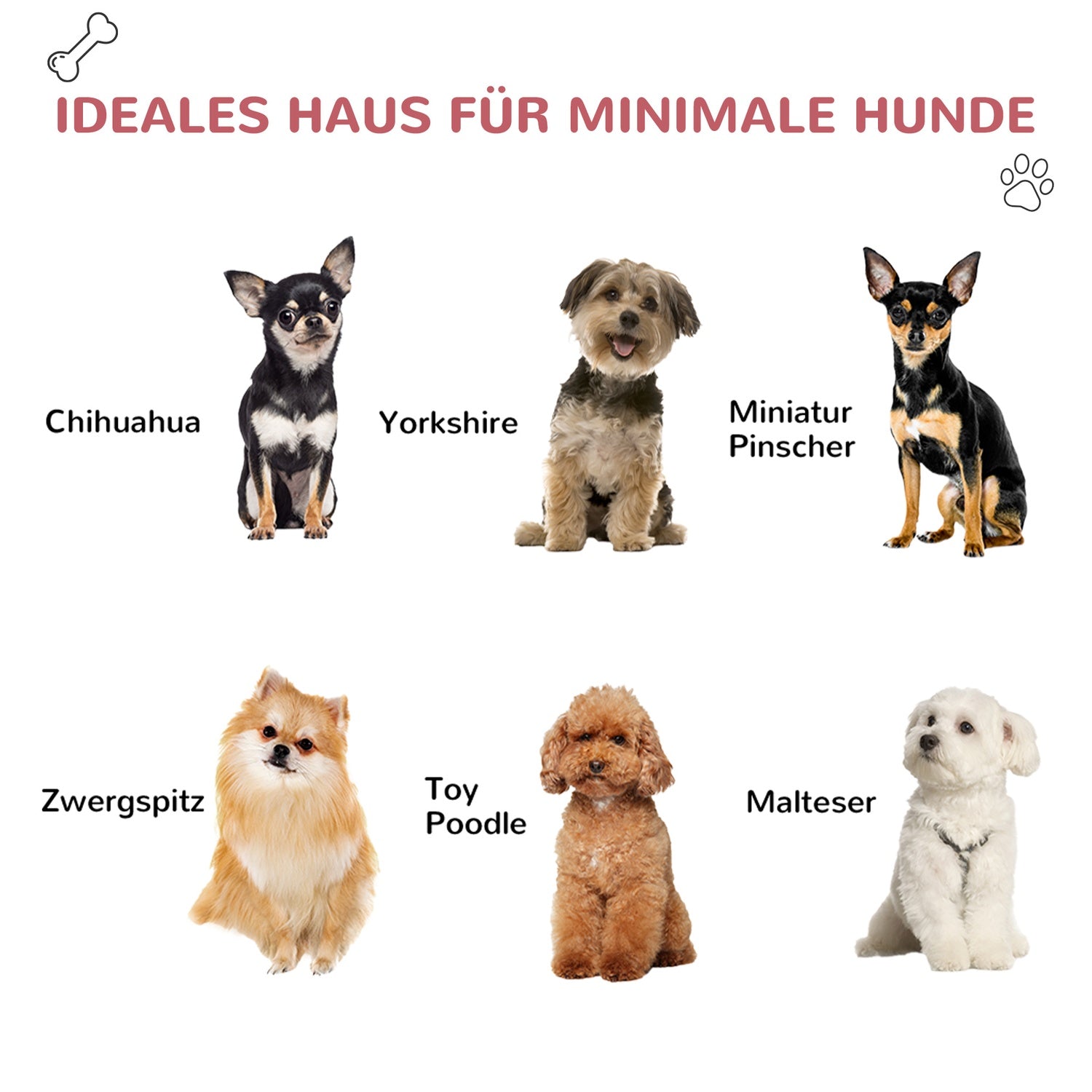 Utomhus hundkennel med tak, vattentät, luftcirkulation