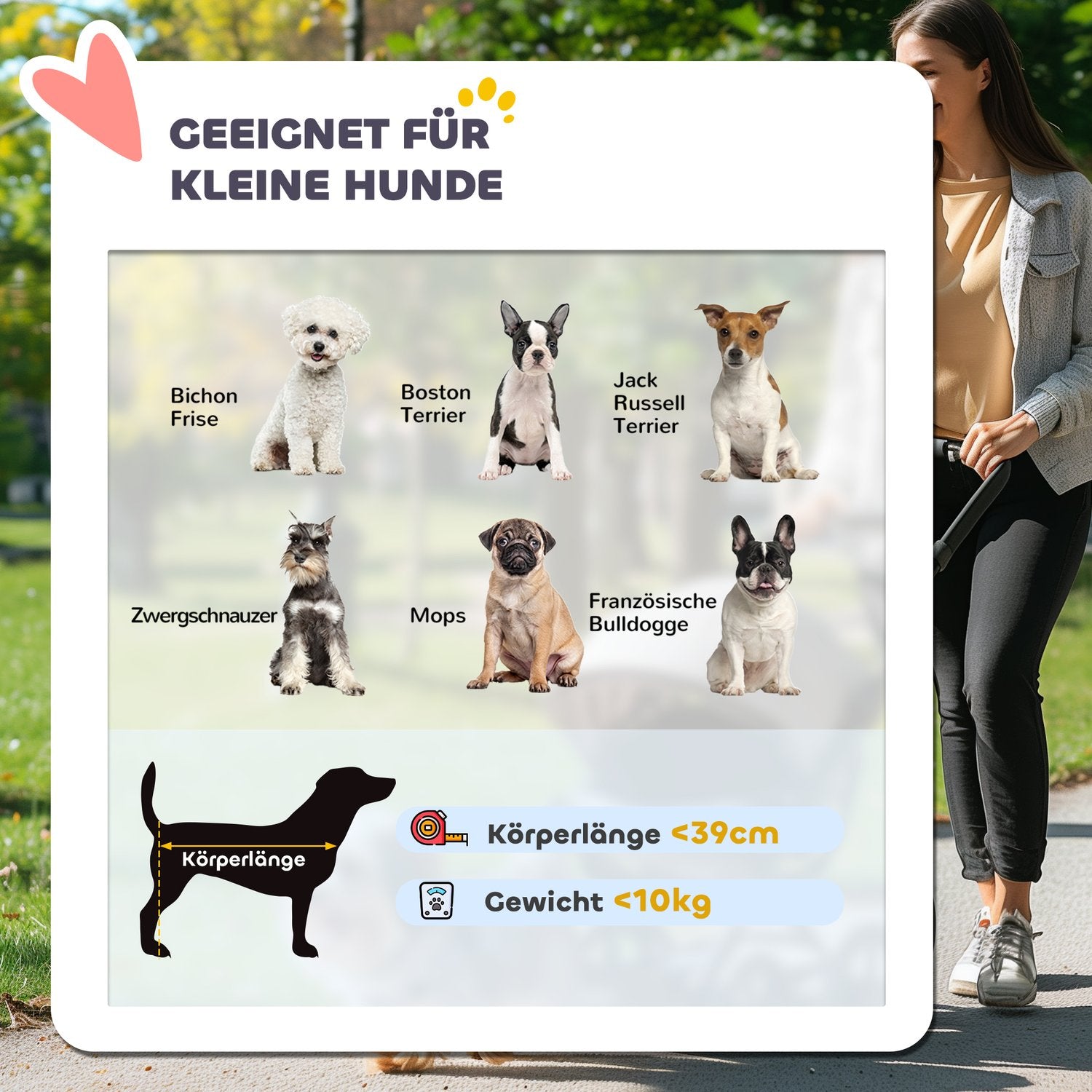 Hopfällbar hund- och kattvagn, 3-hjulig, upp till 10 kg, grå