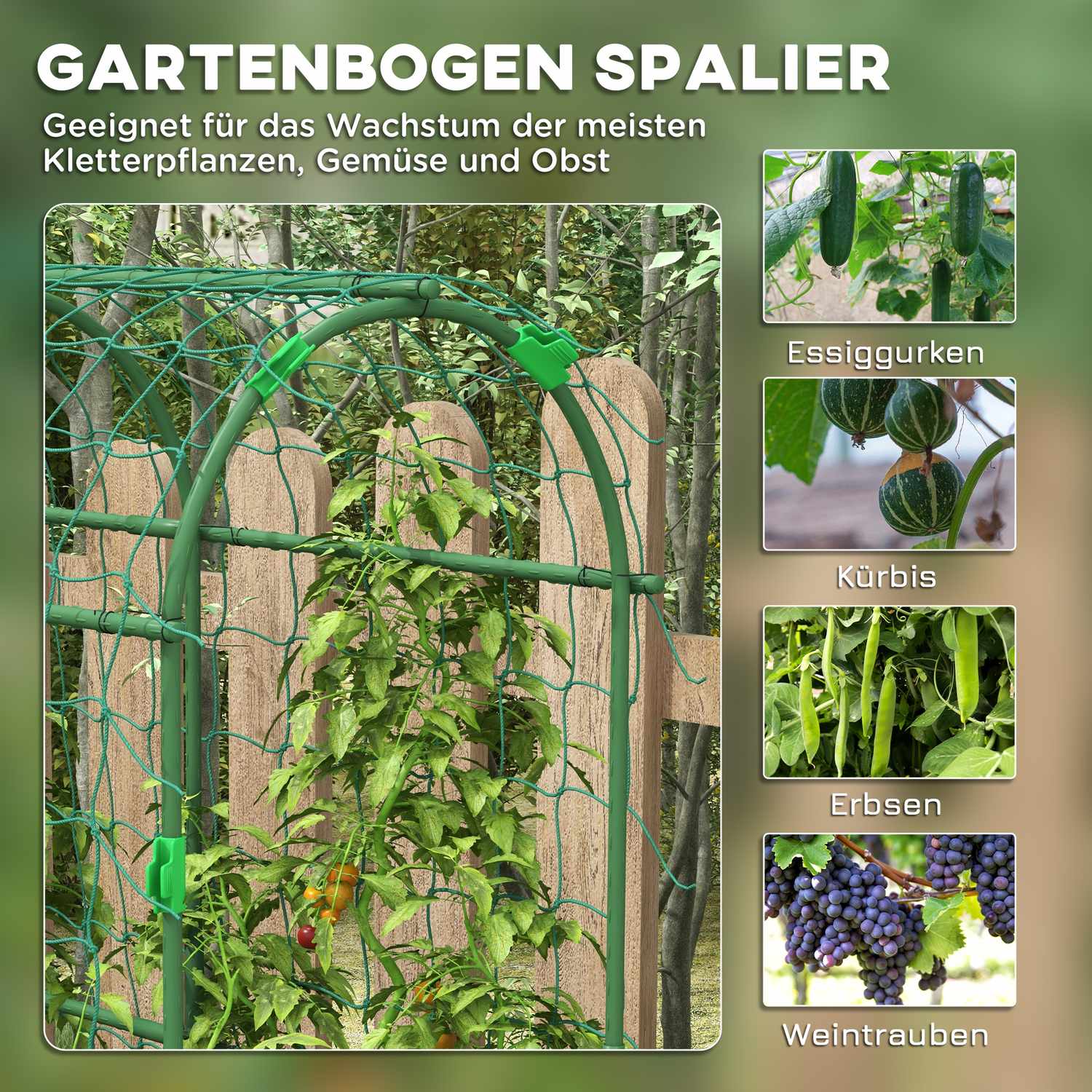 Justerbar växtspaljé i stål med nät för trädgård, balkong