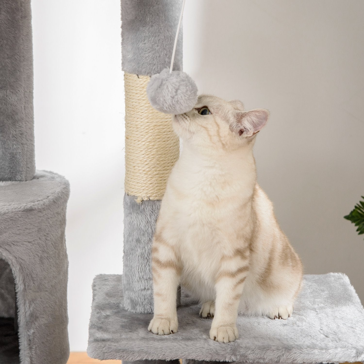 Kattträd med högt i tak med sisal, 60x45x240-260cm, grått