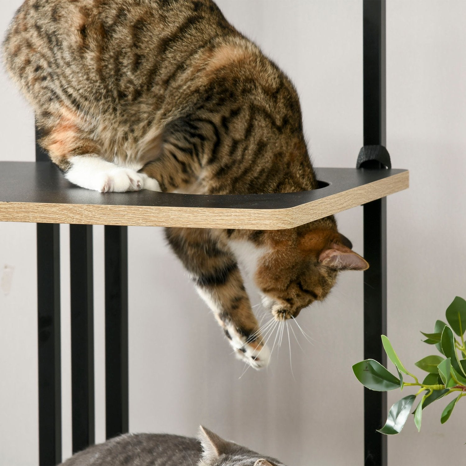 Kattträd 170cm, stort svart stål med kuddar & plattformar