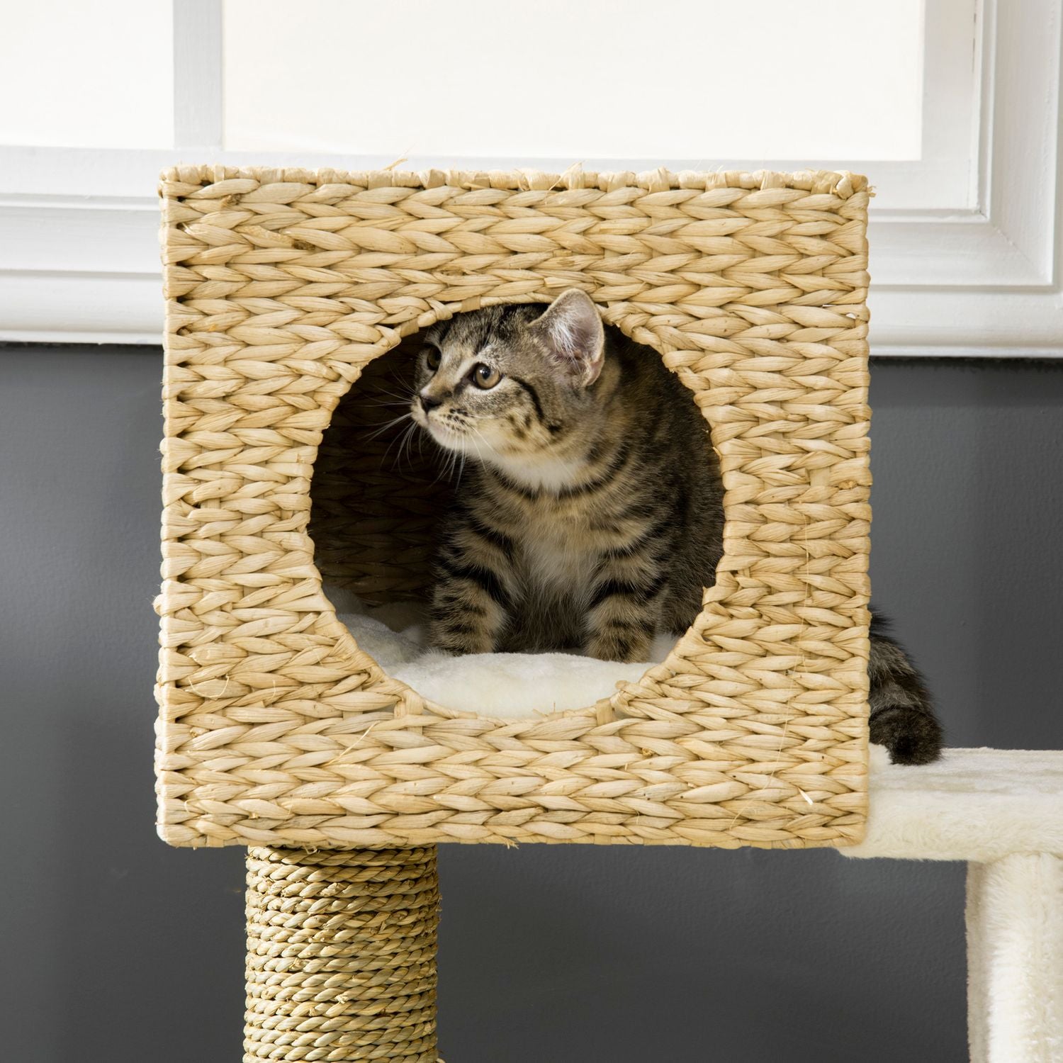 Kattträd med grotta, säng, sisalstolpar och trappor