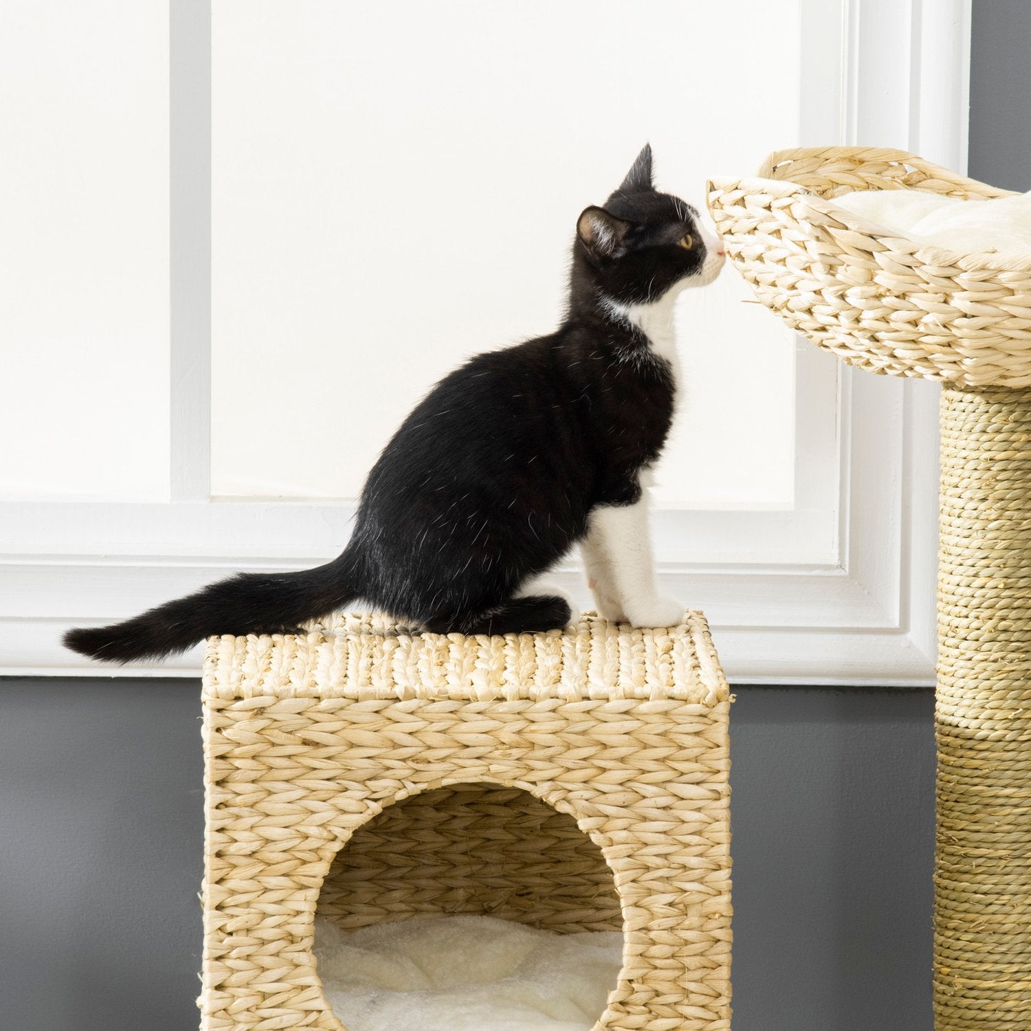 Kattträd med grotta, säng, sisalstolpar och trappor