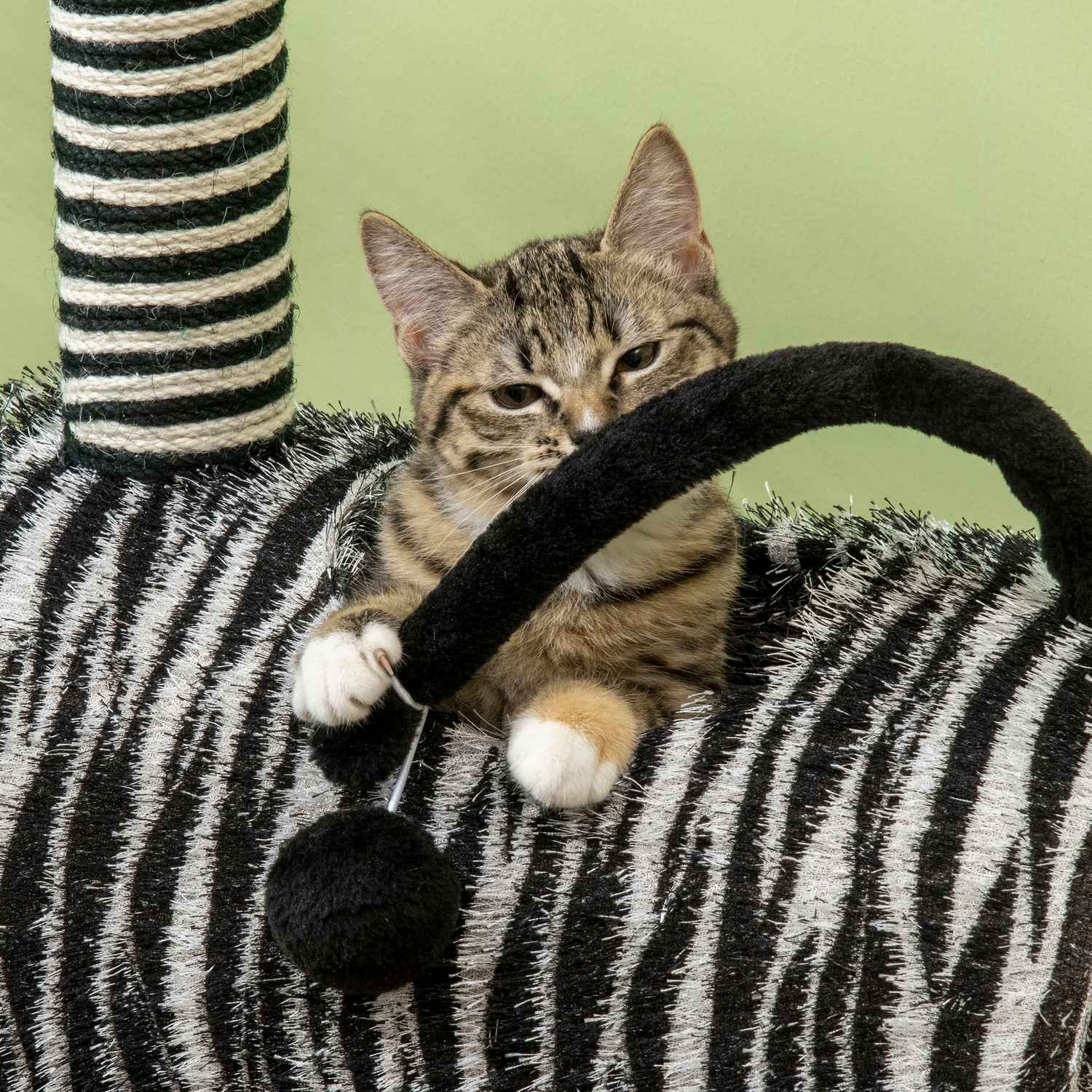 Kattträd med skrapstolpe och tunnel, Zebra Design