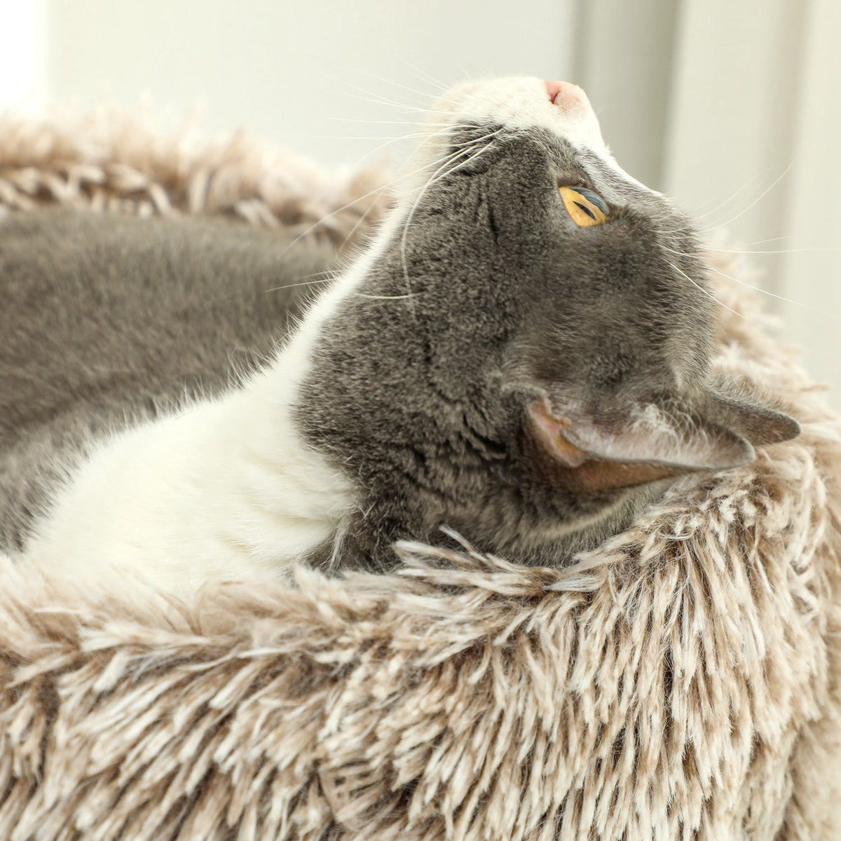 Kattträd med säng – 87 cm högt, sisal, för katter upp till 6 kg