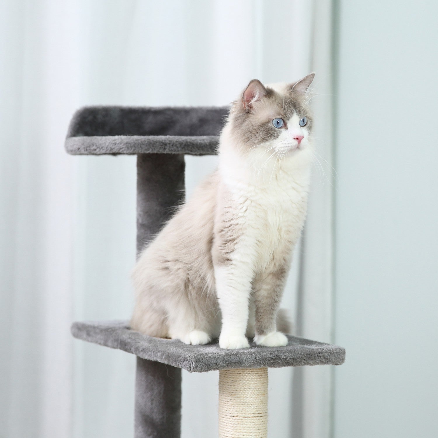 Kattträd med skrapstolpe, 5 nivåer, beige/grå