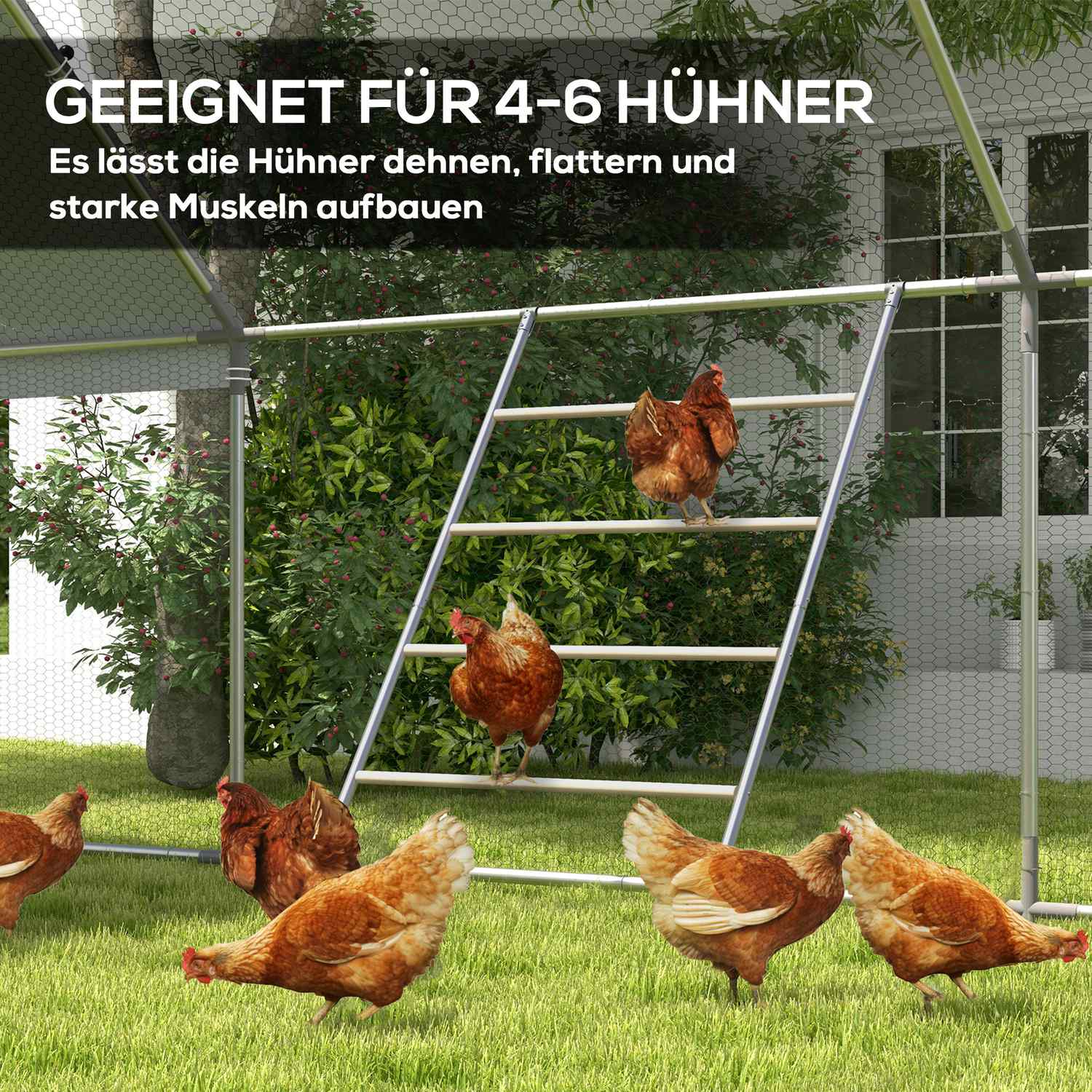 Lekplatsstege för kyckling i trä – 140 x 86 cm, naturligt trä