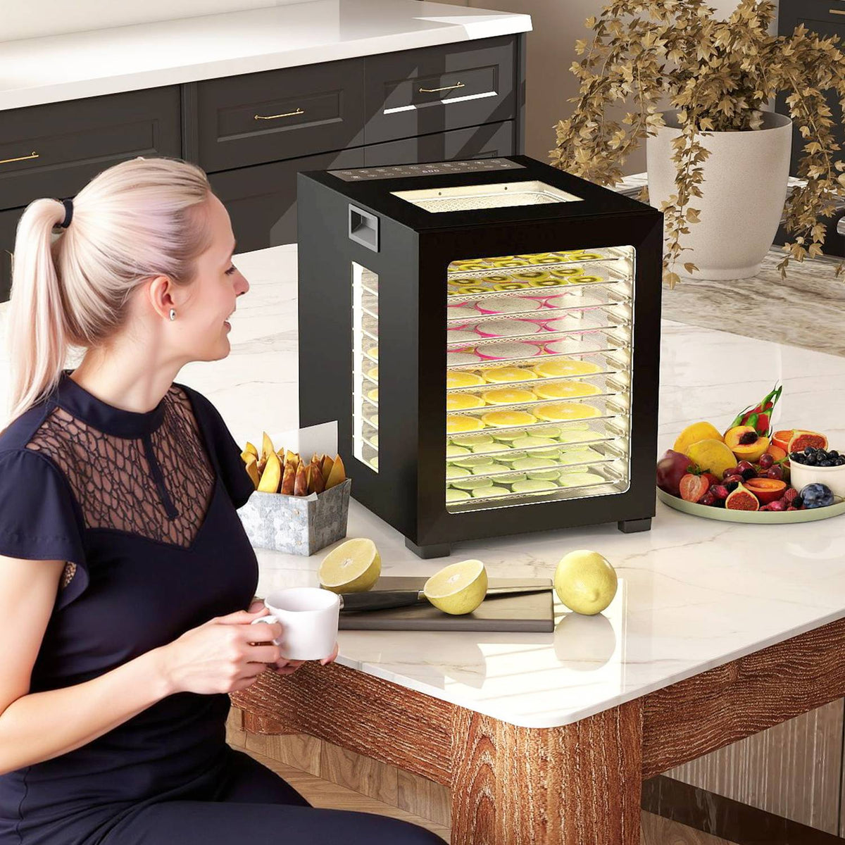 Sušička potravin, 850W, 12 nerezových táců, časovač
