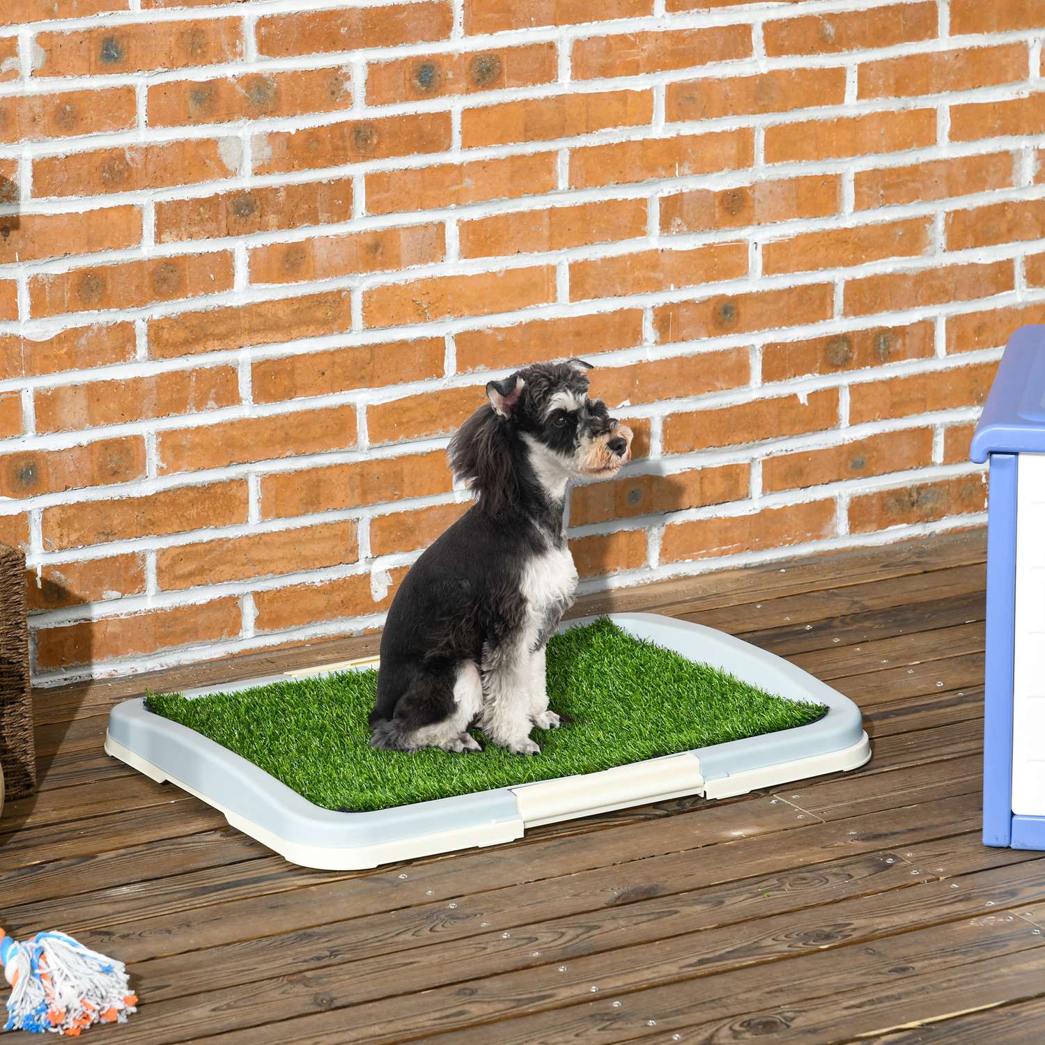 Konstgräs hundtoalett, blå, 63x48,5 cm