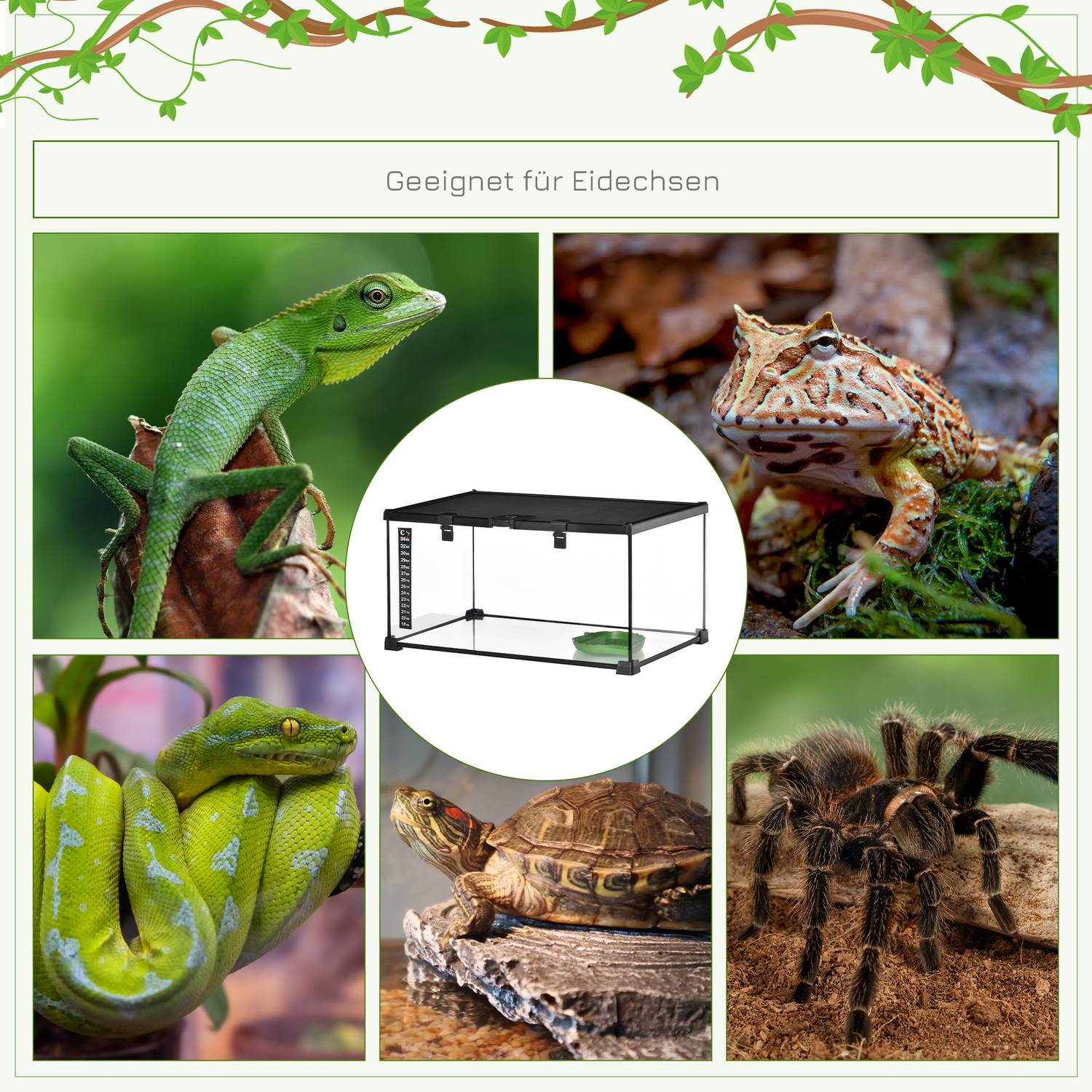 Reptilterrarium i glas med termometer, 50x30x25 cm