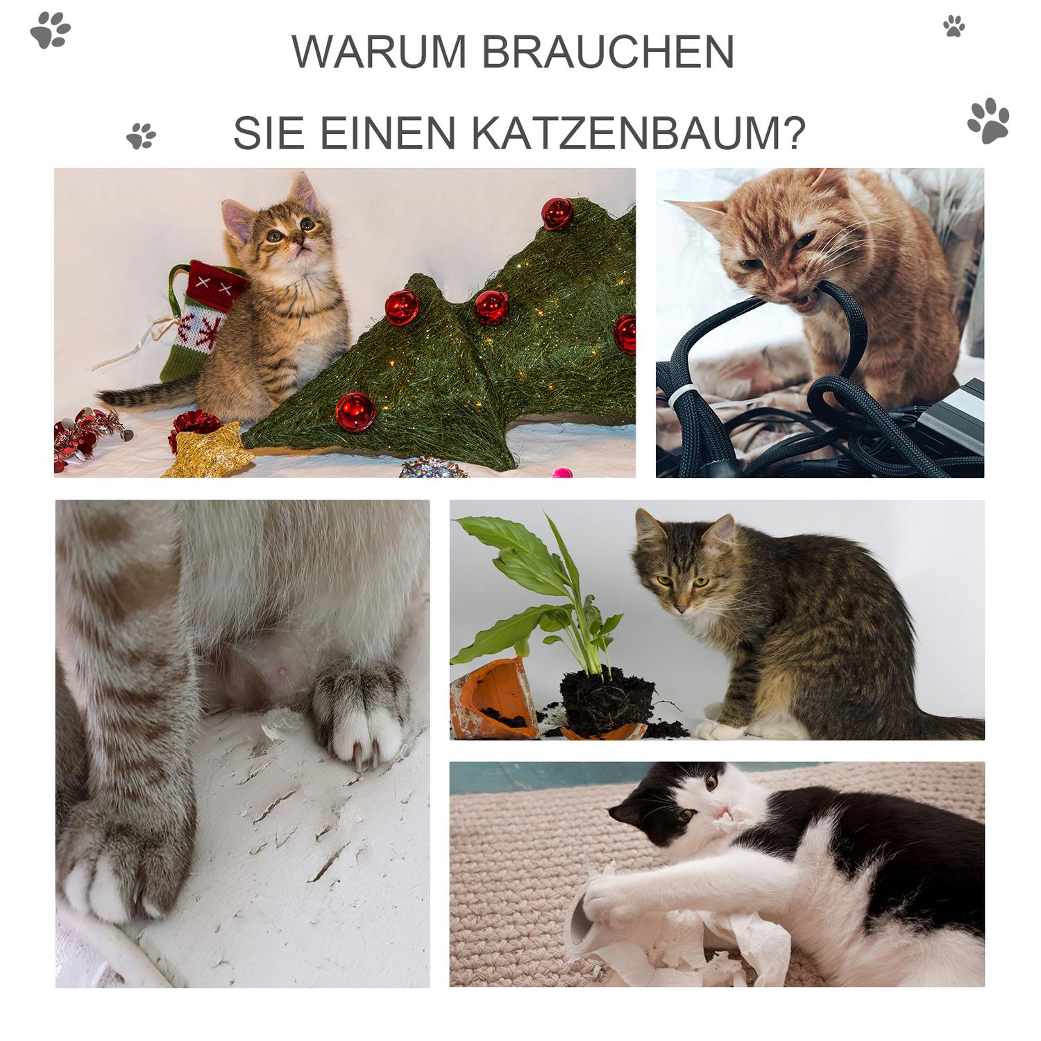 Kattträd på flera nivåer med skrapstolpe och stege, ljusgrå