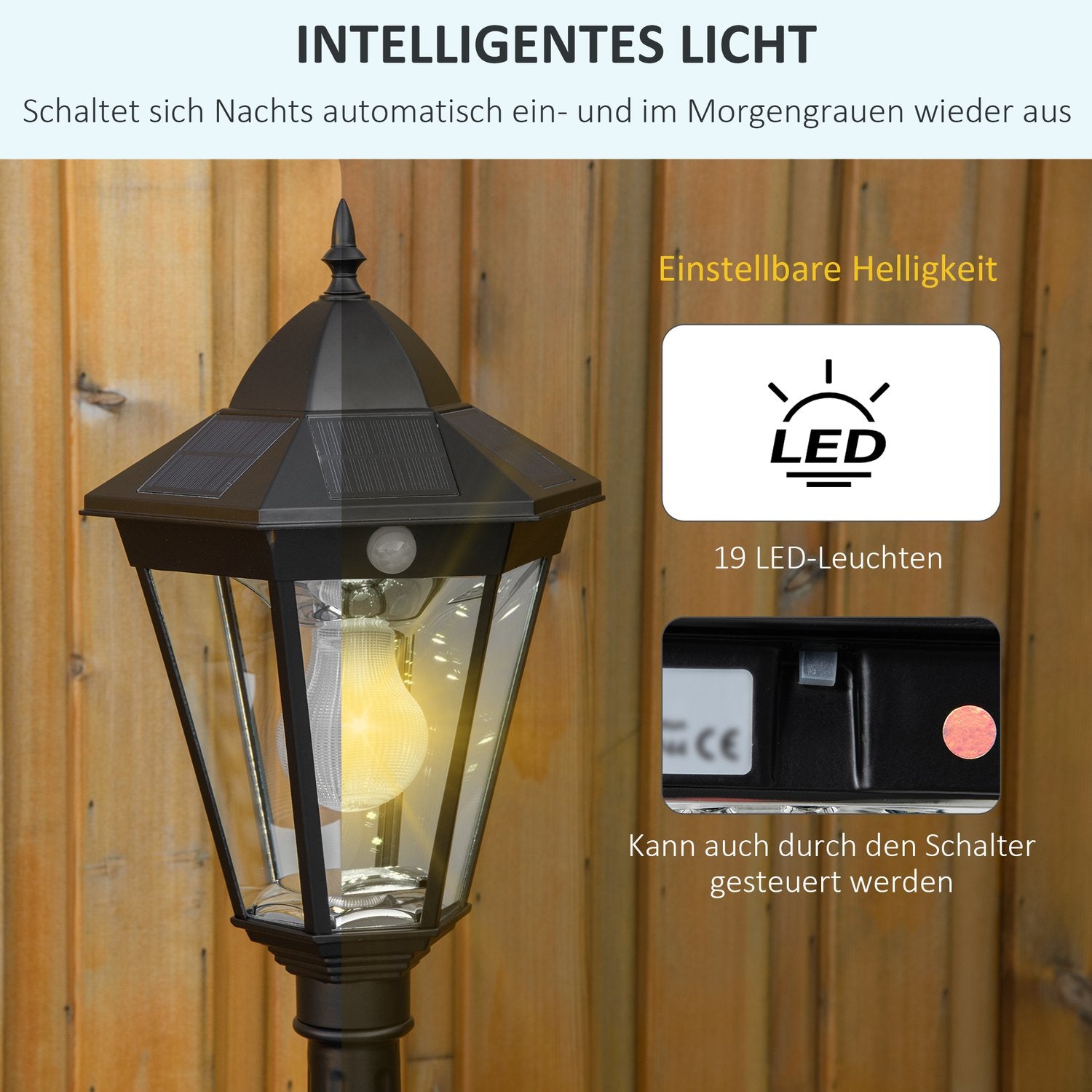Solar Garden Path Light, 19 LED, 130 Lumen, Svart