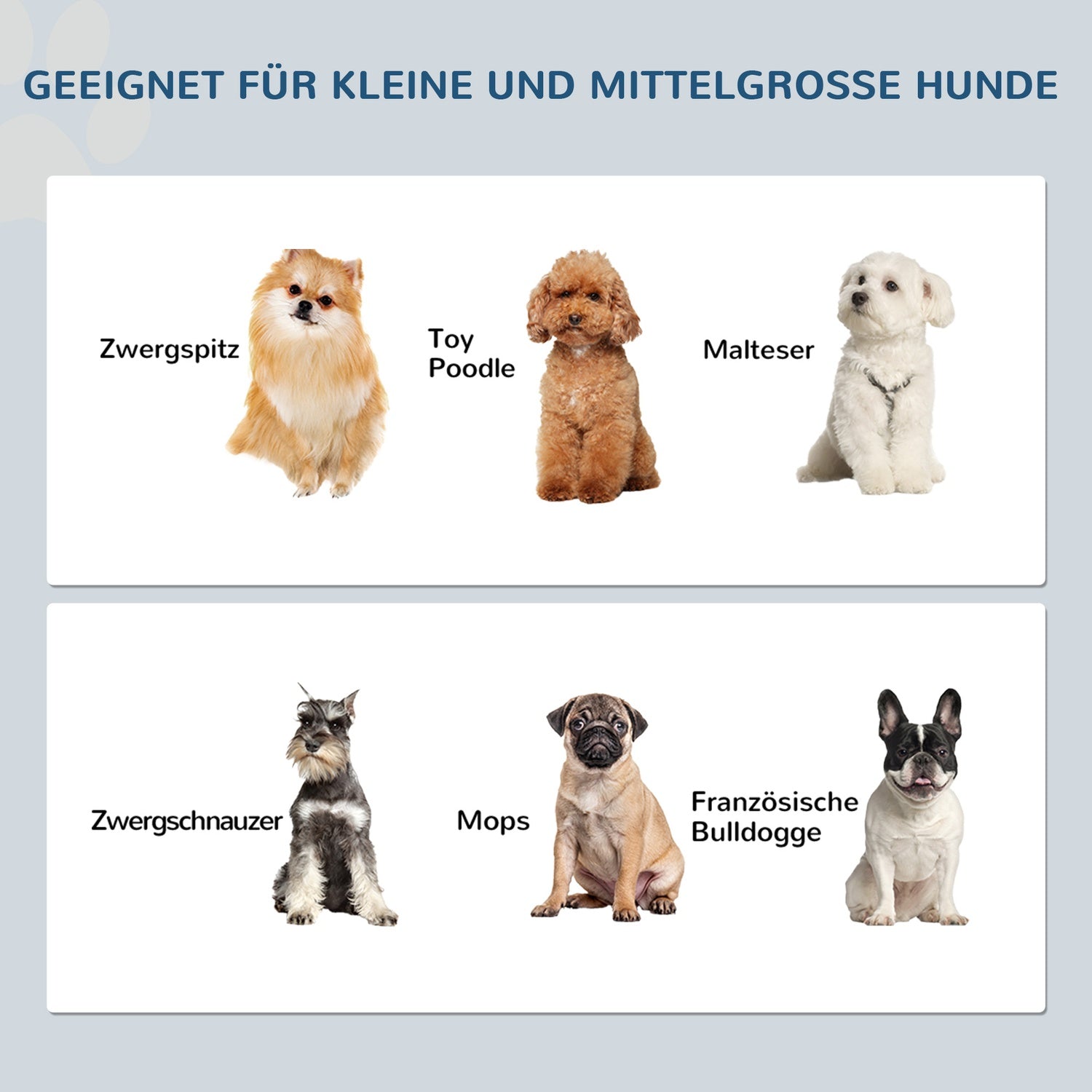 Upphöjd hundskålsats, rostfritt stål, lättskött, 0,9L kapacitet