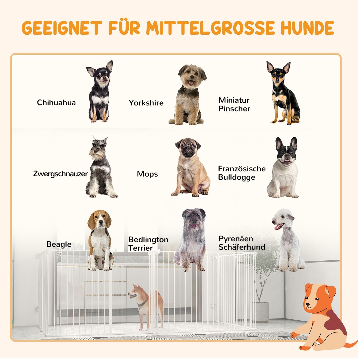 Hundlekhage, 90 cm hög, hopfällbar 8-panels utomhushölje