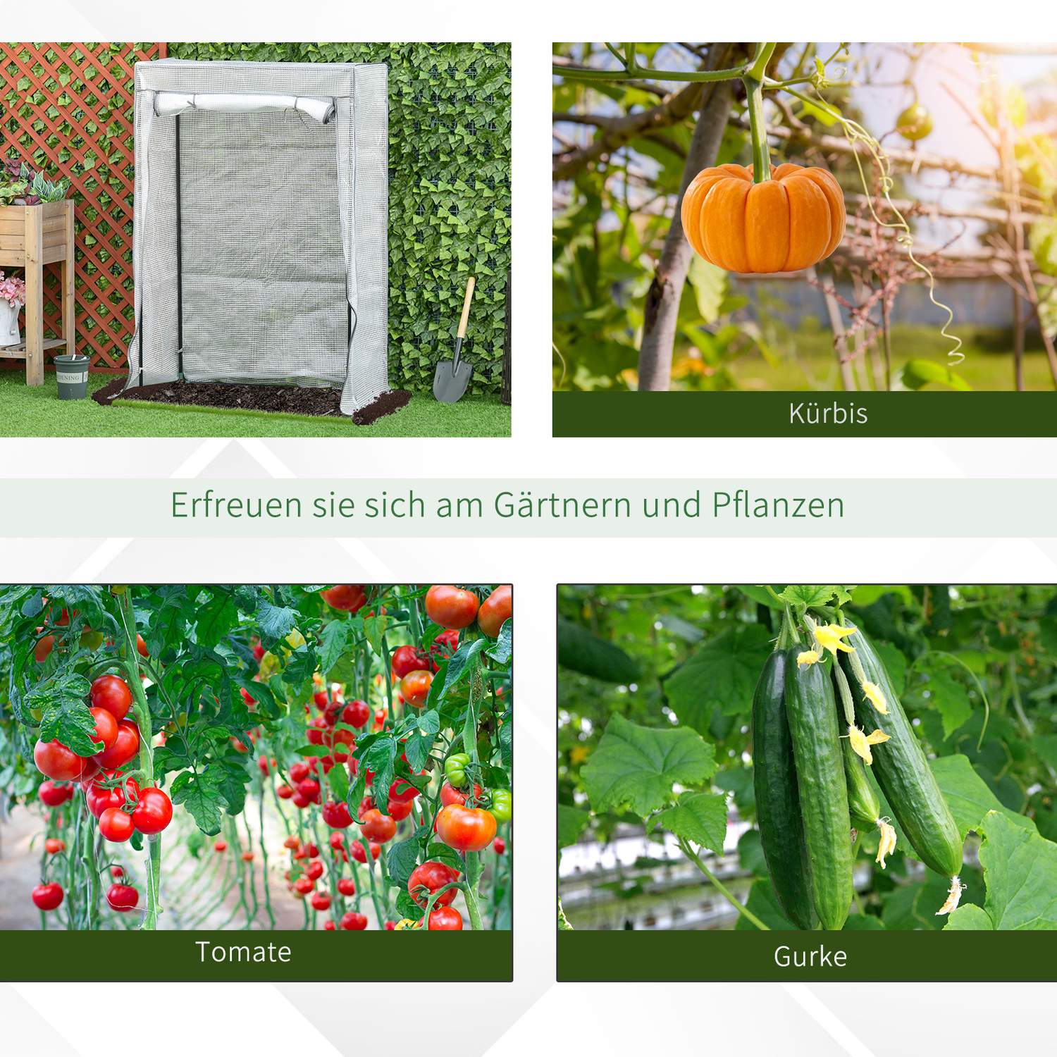 Vitt växthus för grönsaker & blommor, 101x50x150 cm