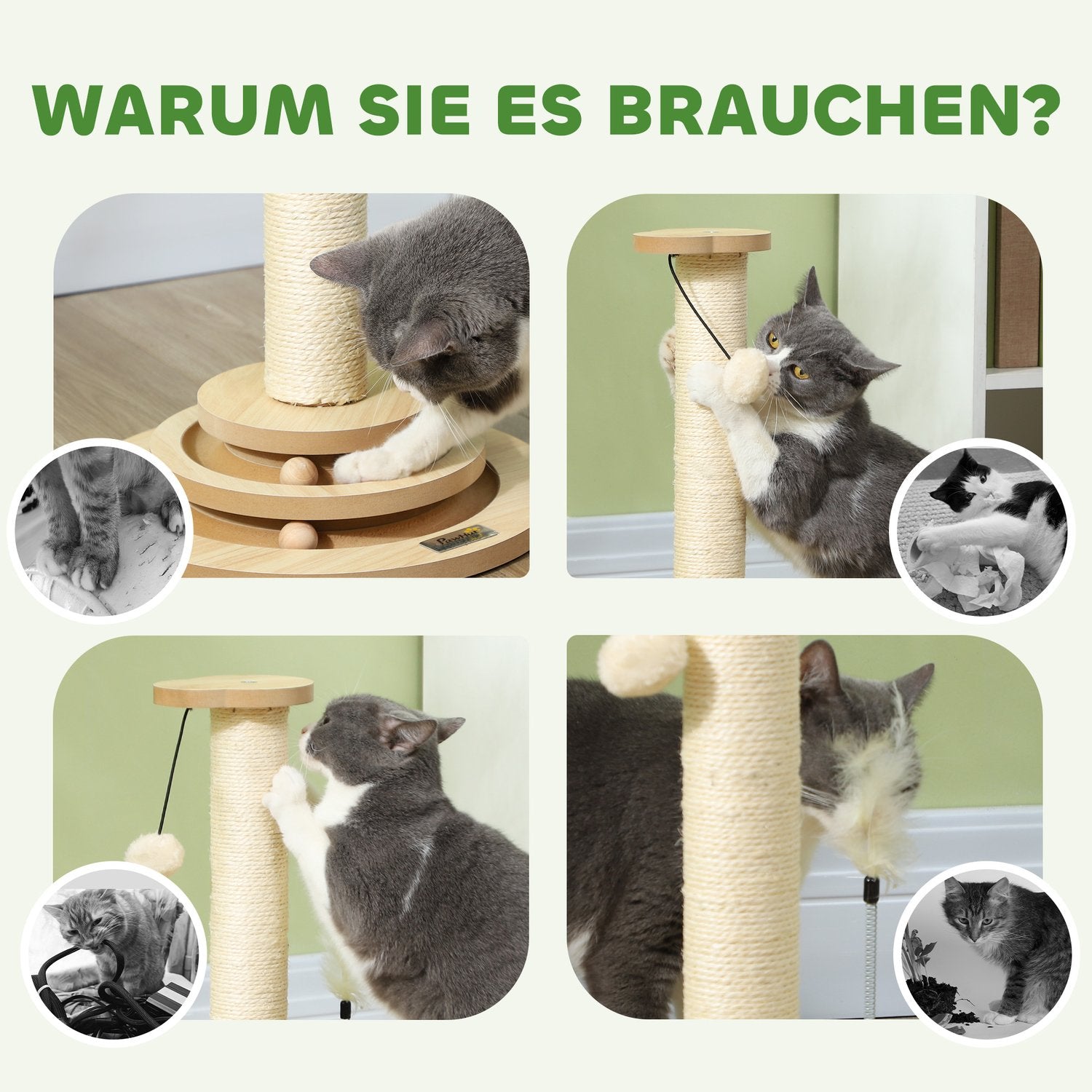 Sisal Cat Skrapstolpe med Play Ball, Ek, 49cm