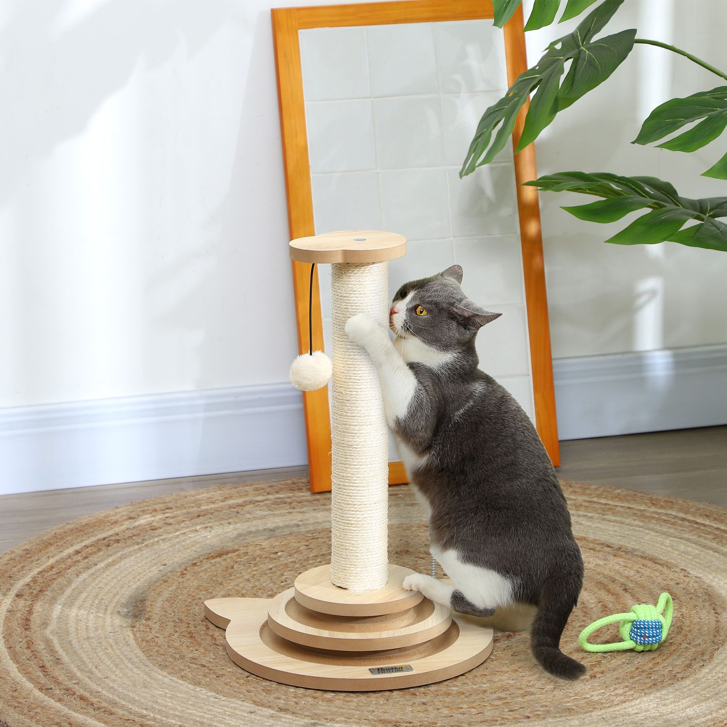 Sisal Cat Skrapstolpe med Play Ball, Ek, 49cm