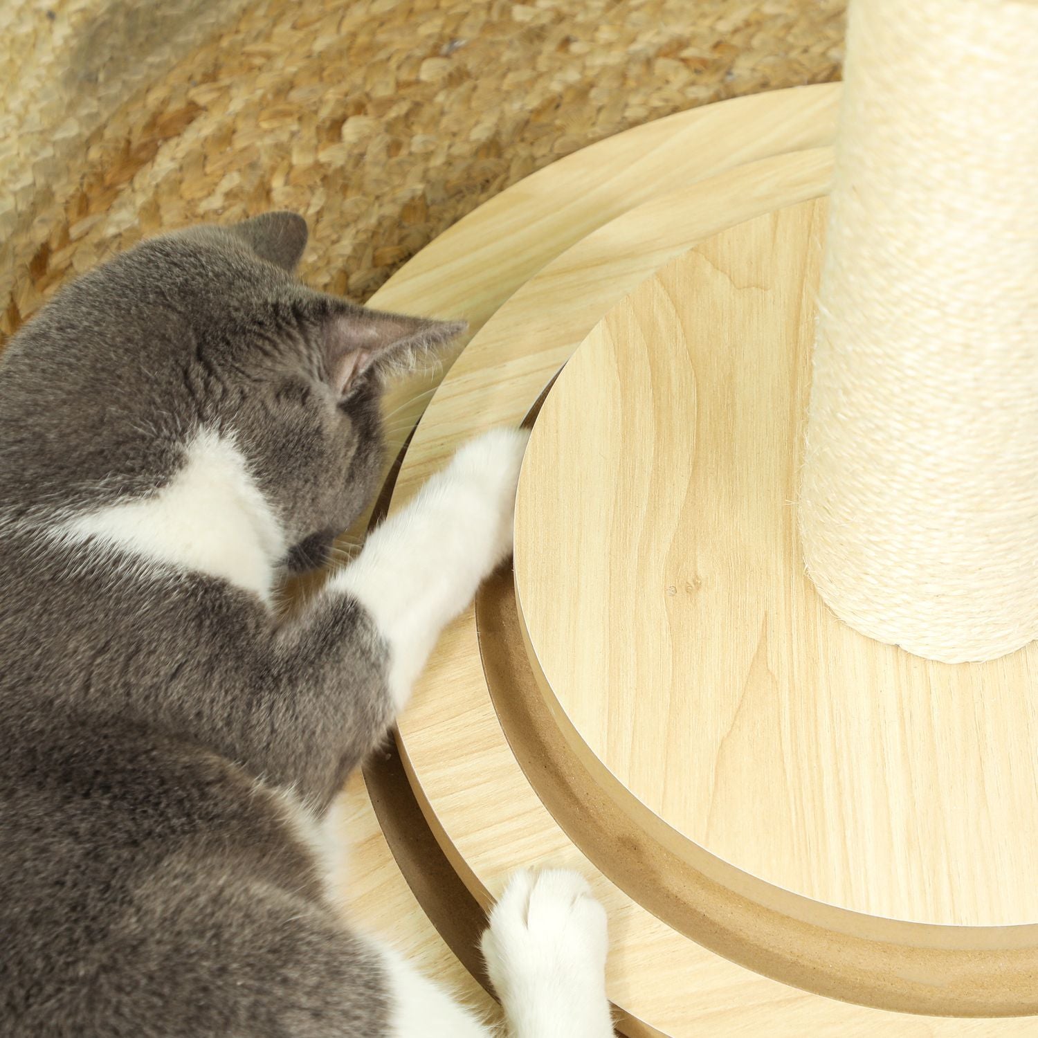 Kattskrapstolpe, 69 cm sisal med lekboll, ekfinish