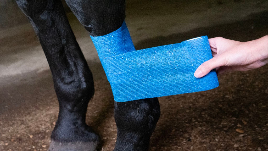 Bandage Animal Blue Glitter Profi Plus 10 cm