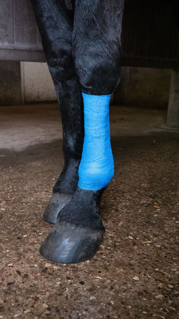 Bandage Animal Blue Glitter Profi Plus 10 cm
