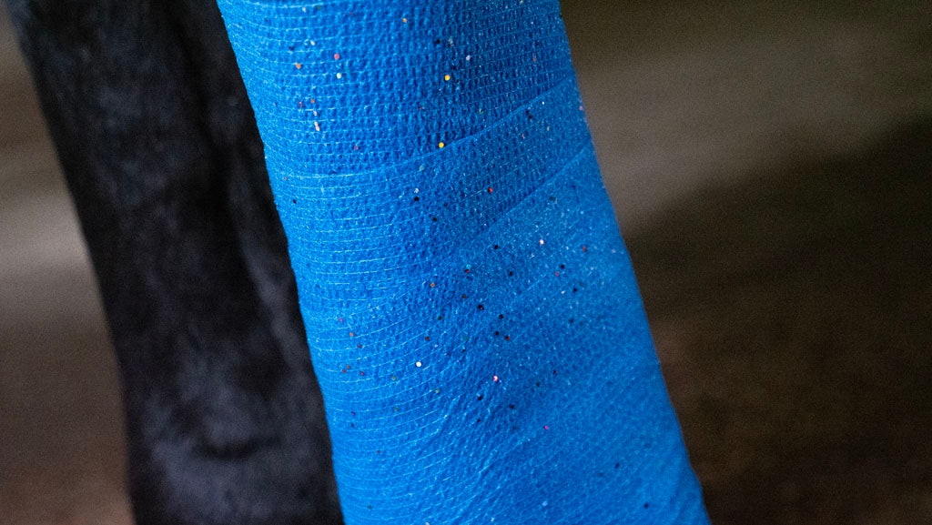 Bandage Animal Blue Glitter Profi Plus 10 cm
