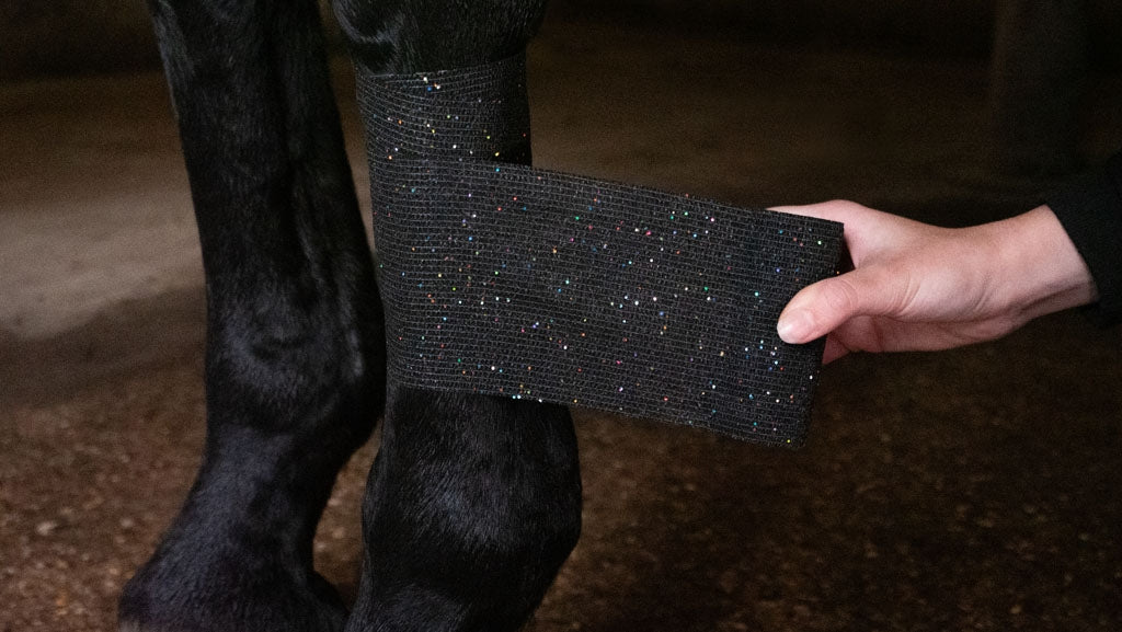 Bandage Animal Blue Glitter Profi Plus 10 cm