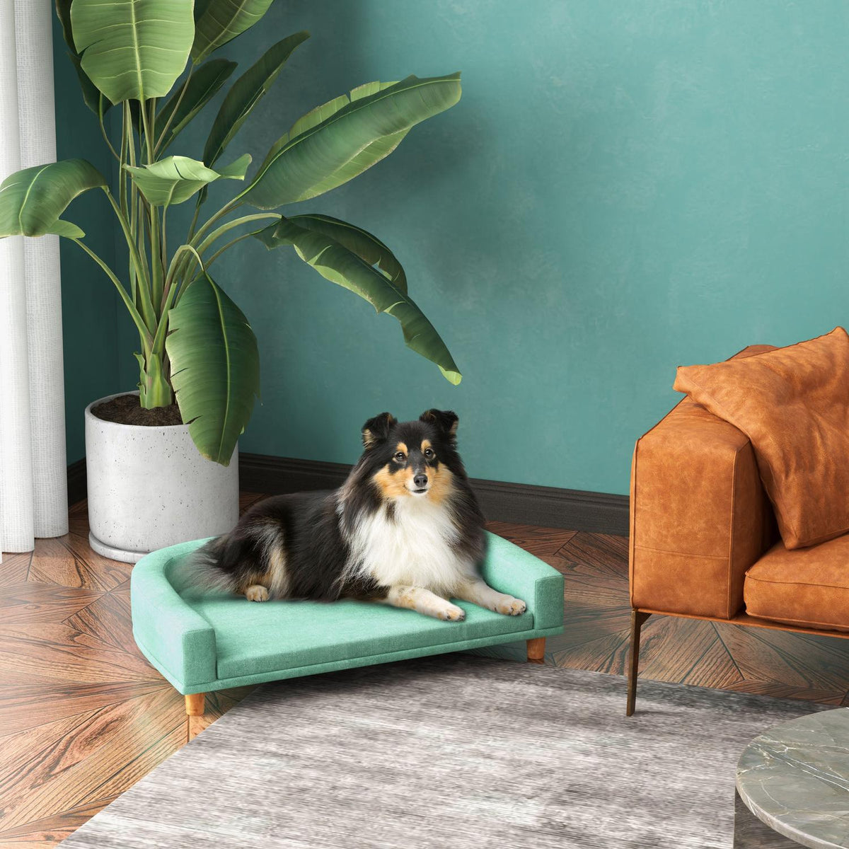 Bekväm husdjurssoffa med kudde, förhöjd grön design