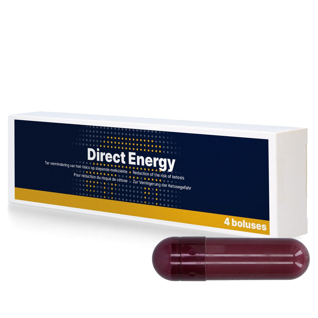 Direkt energibolus