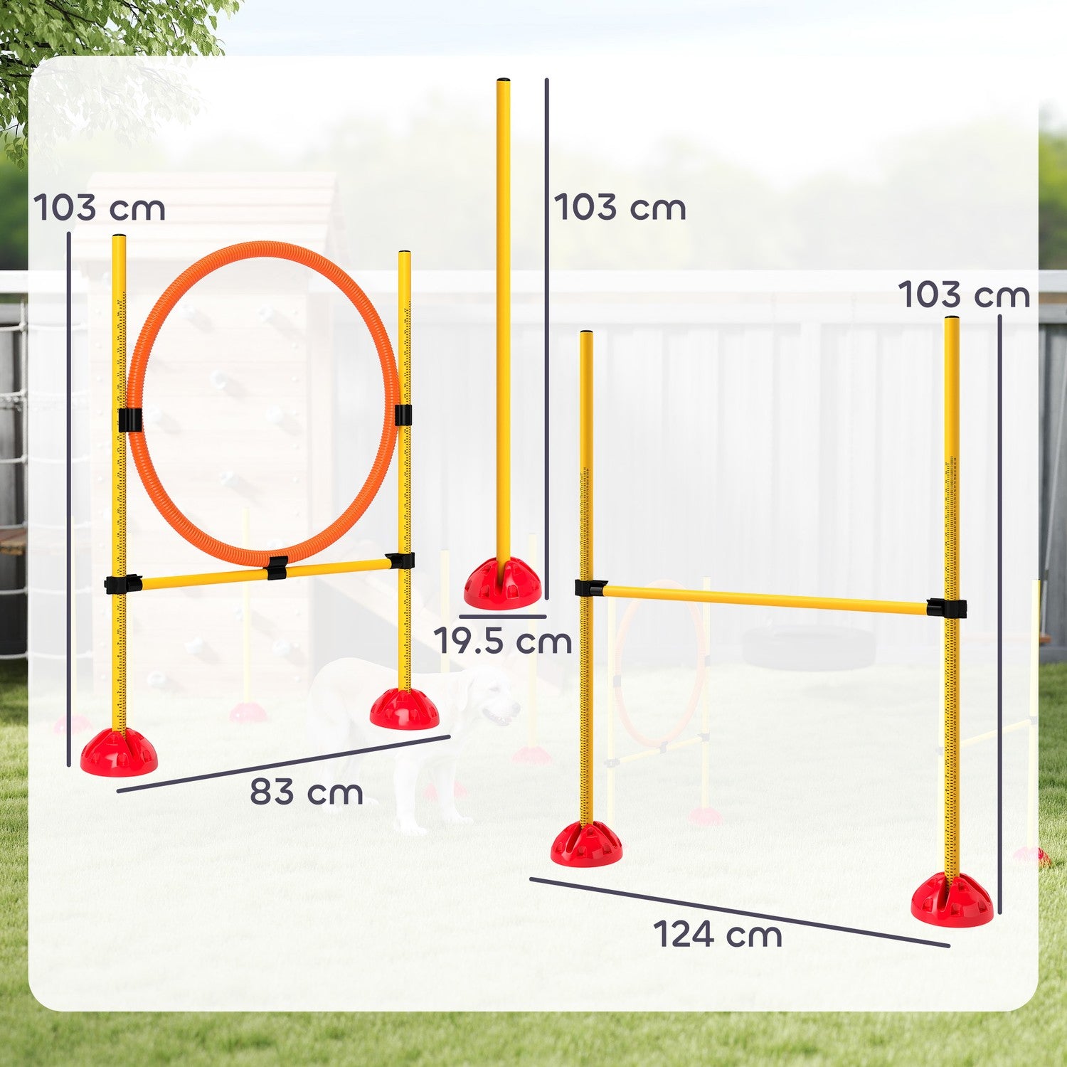 Hund Agility Training Set, 4-delad justerbar utrustning