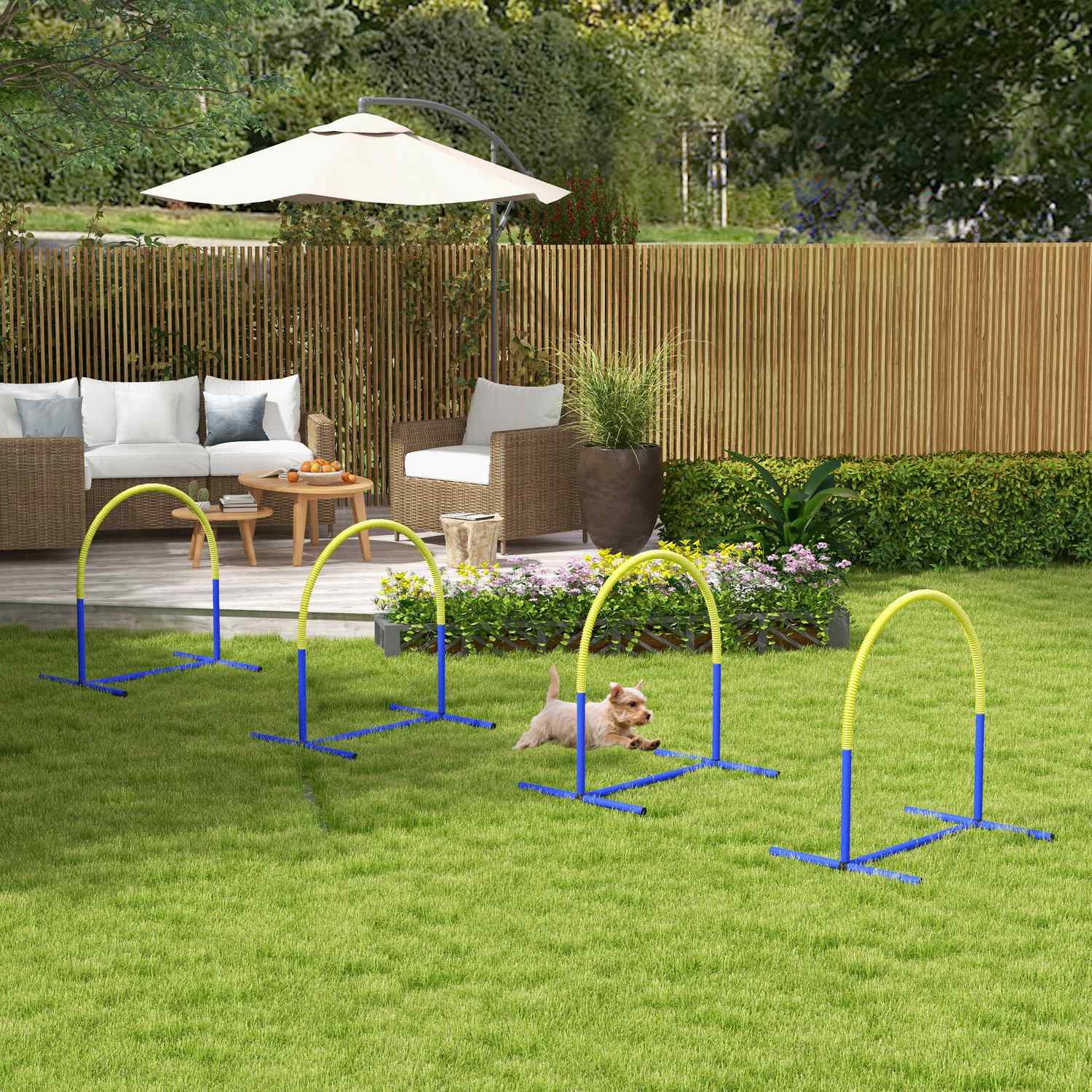 Dog Agility Set med bärväska, 4 rosetter, gul