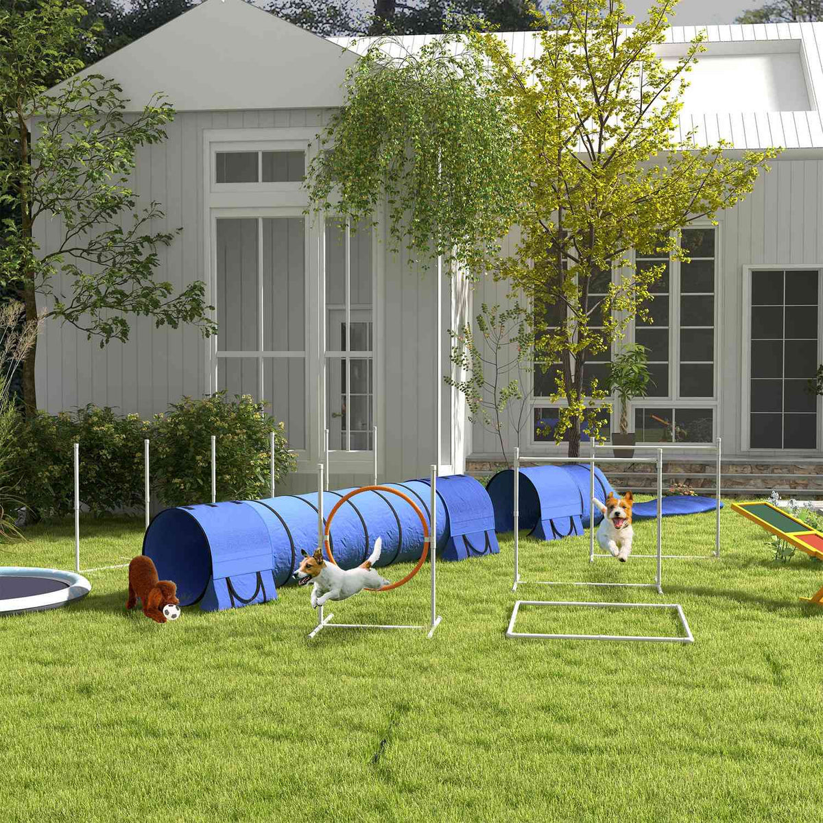 Dog Agility Set med justerbara hinder och tunnel