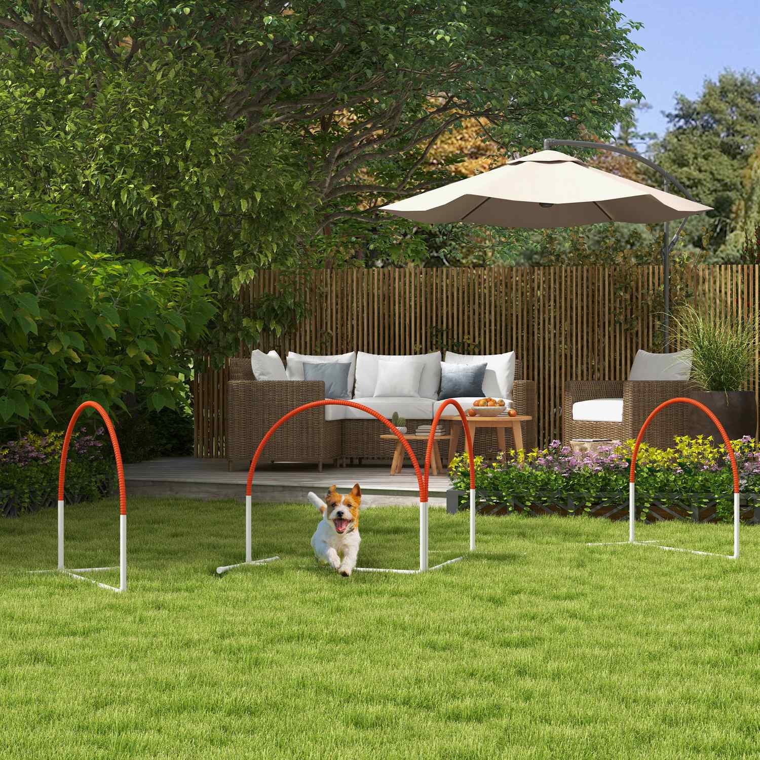 Dog Agility Set med slalomstavar, bärbar bärväska